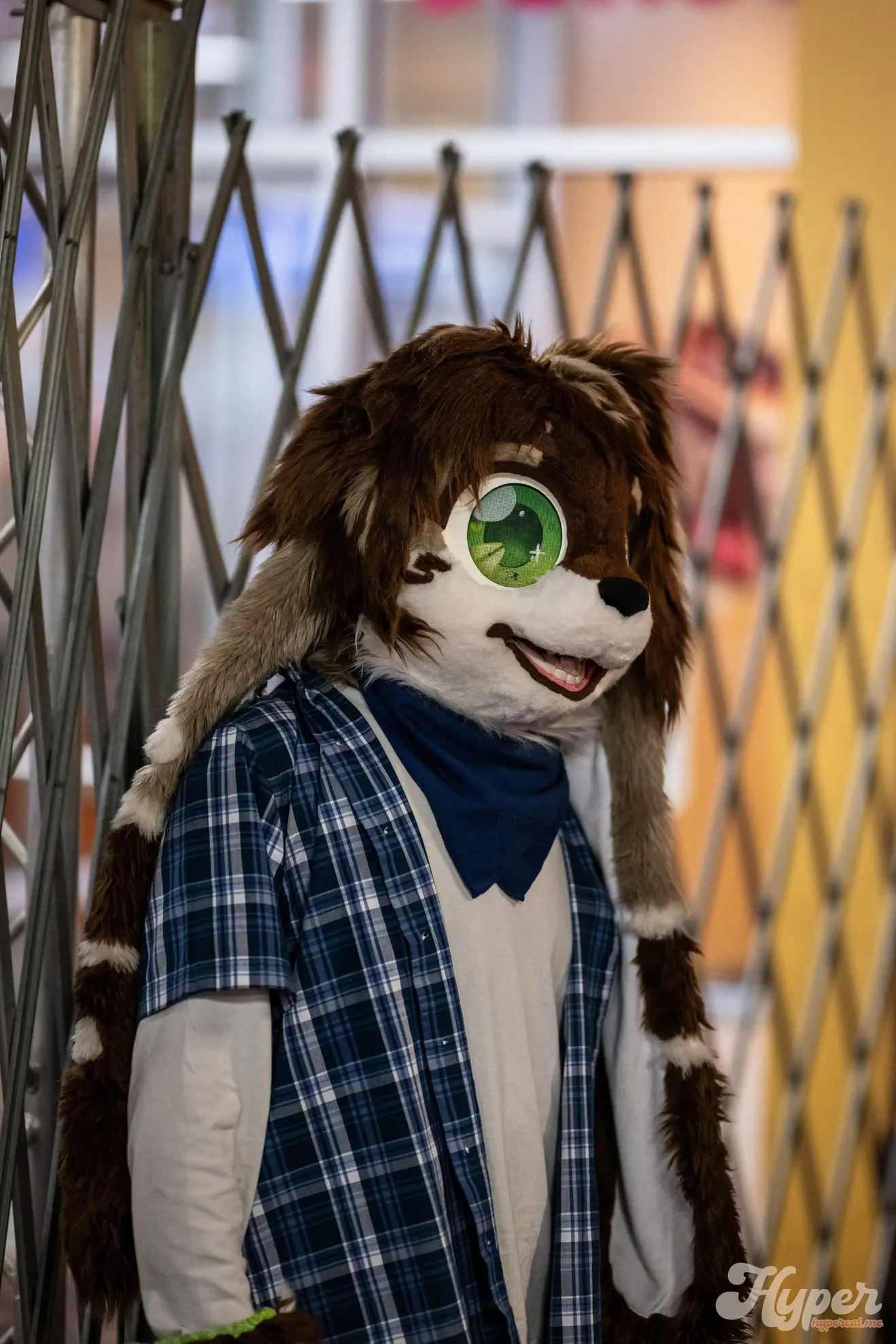 Delaware Furbowl 92 (July 2025)