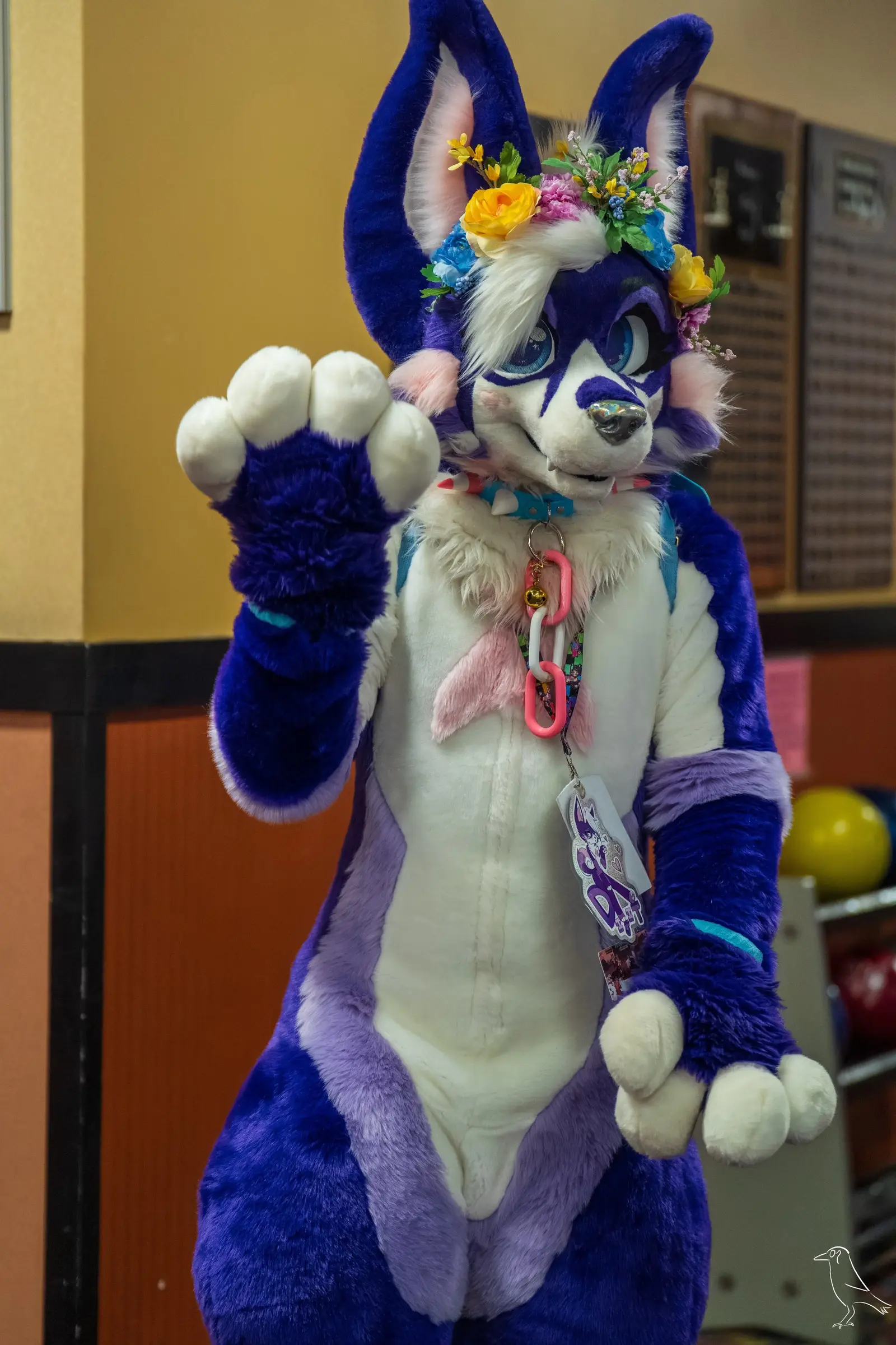 Delaware Furbowl 92 (July 2025)