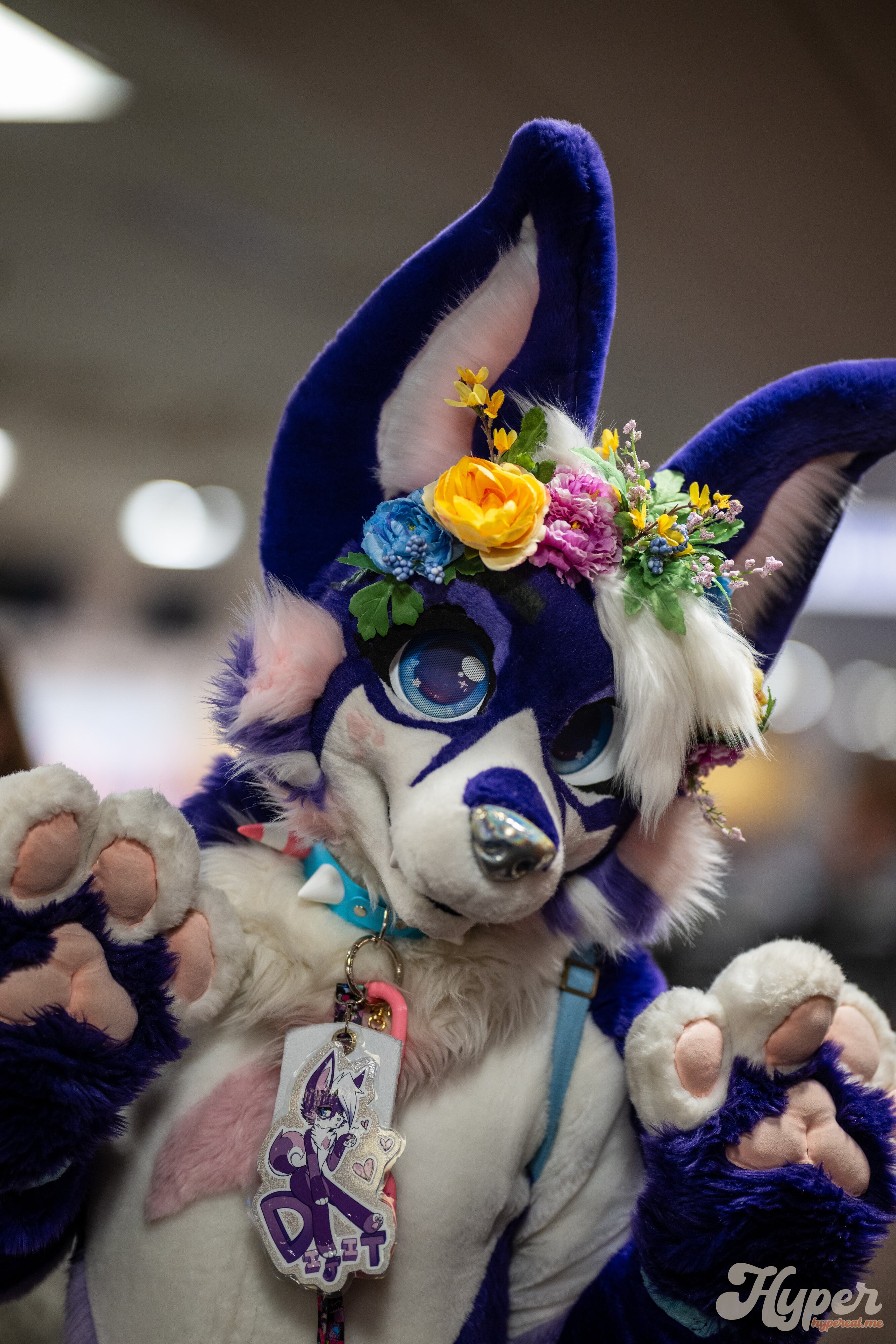 Delaware Furbowl 93 (September 2025)