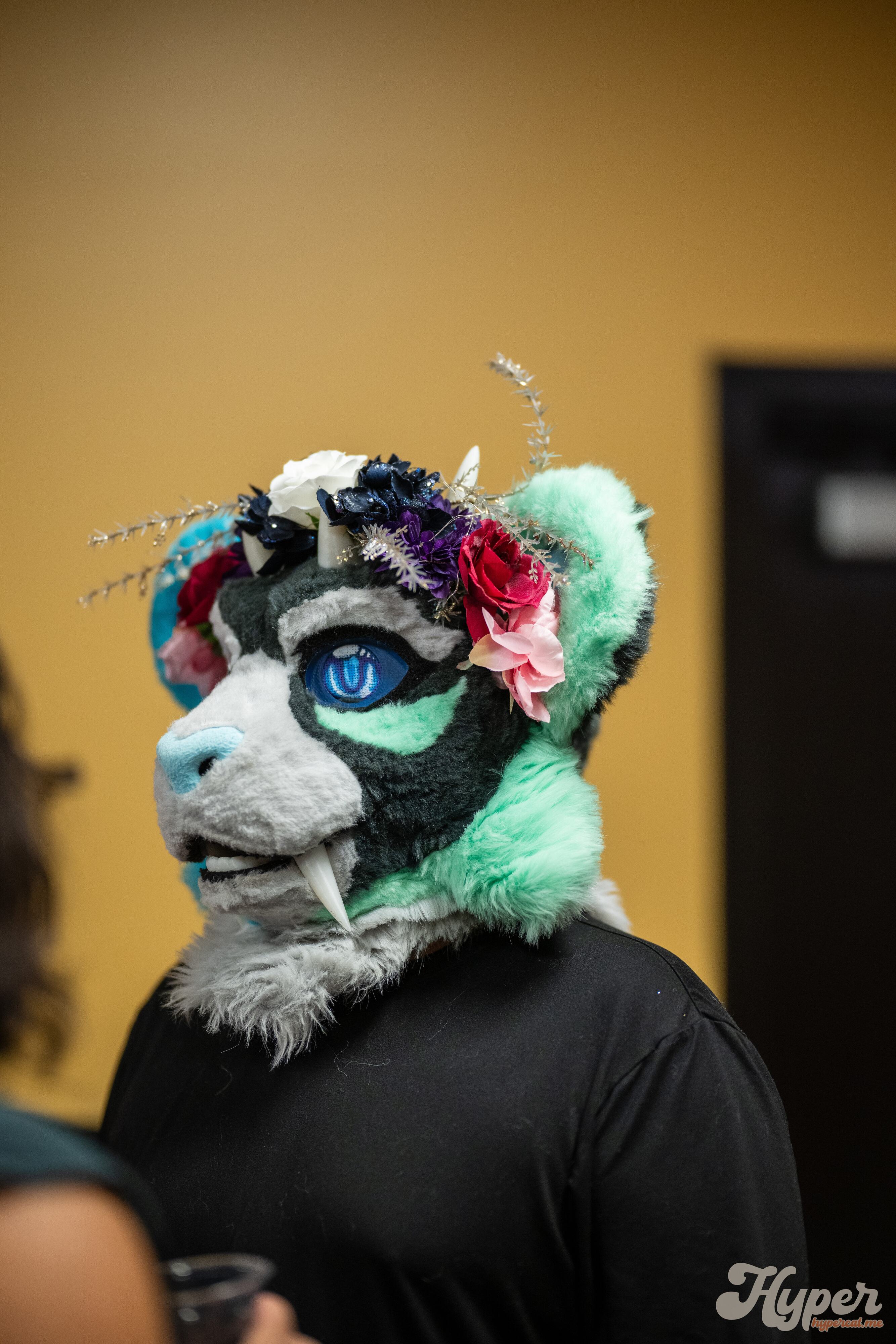 Delaware Furbowl 93 (September 2025)