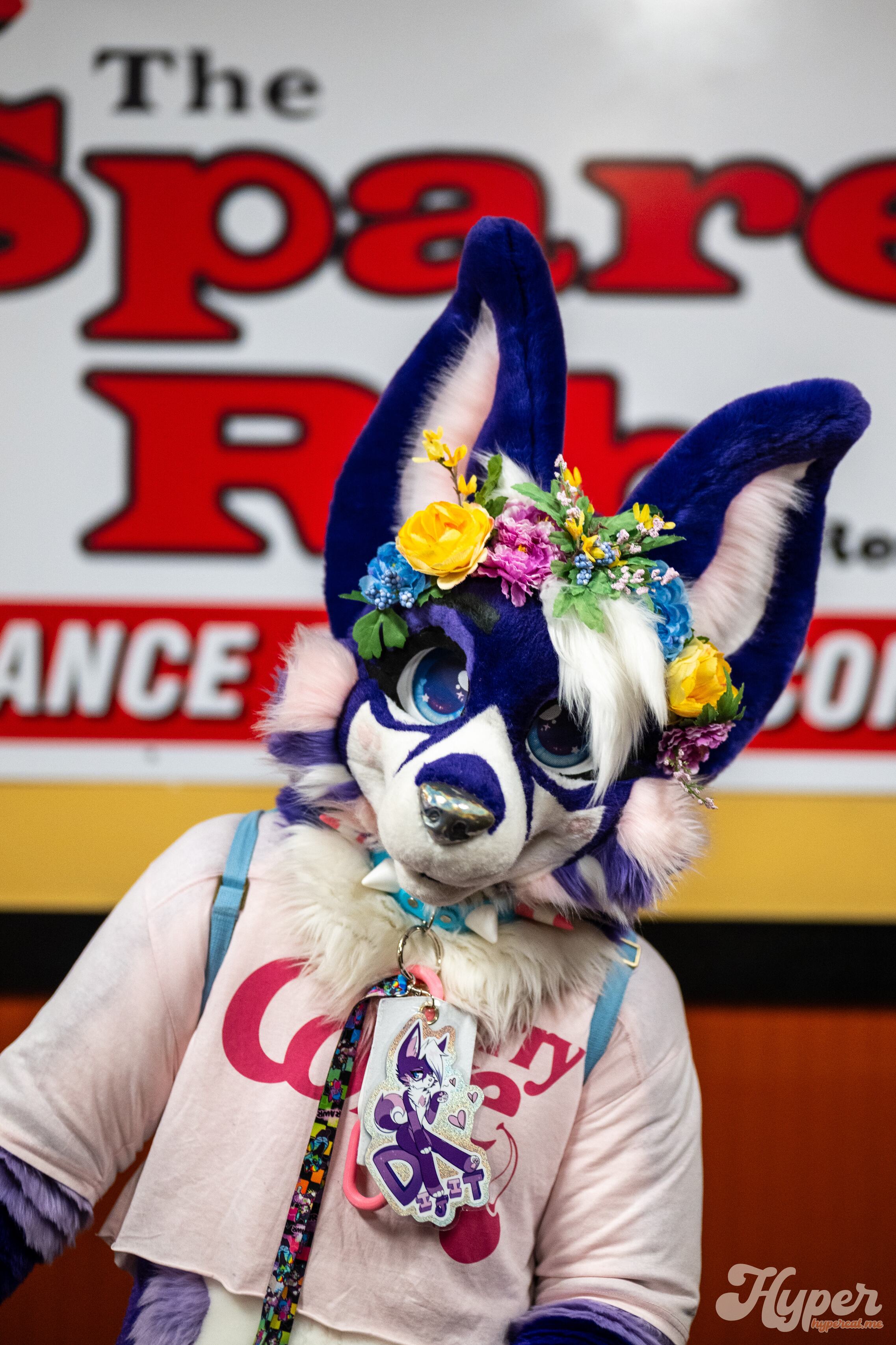 Delaware Furbowl 93 (September 2025)