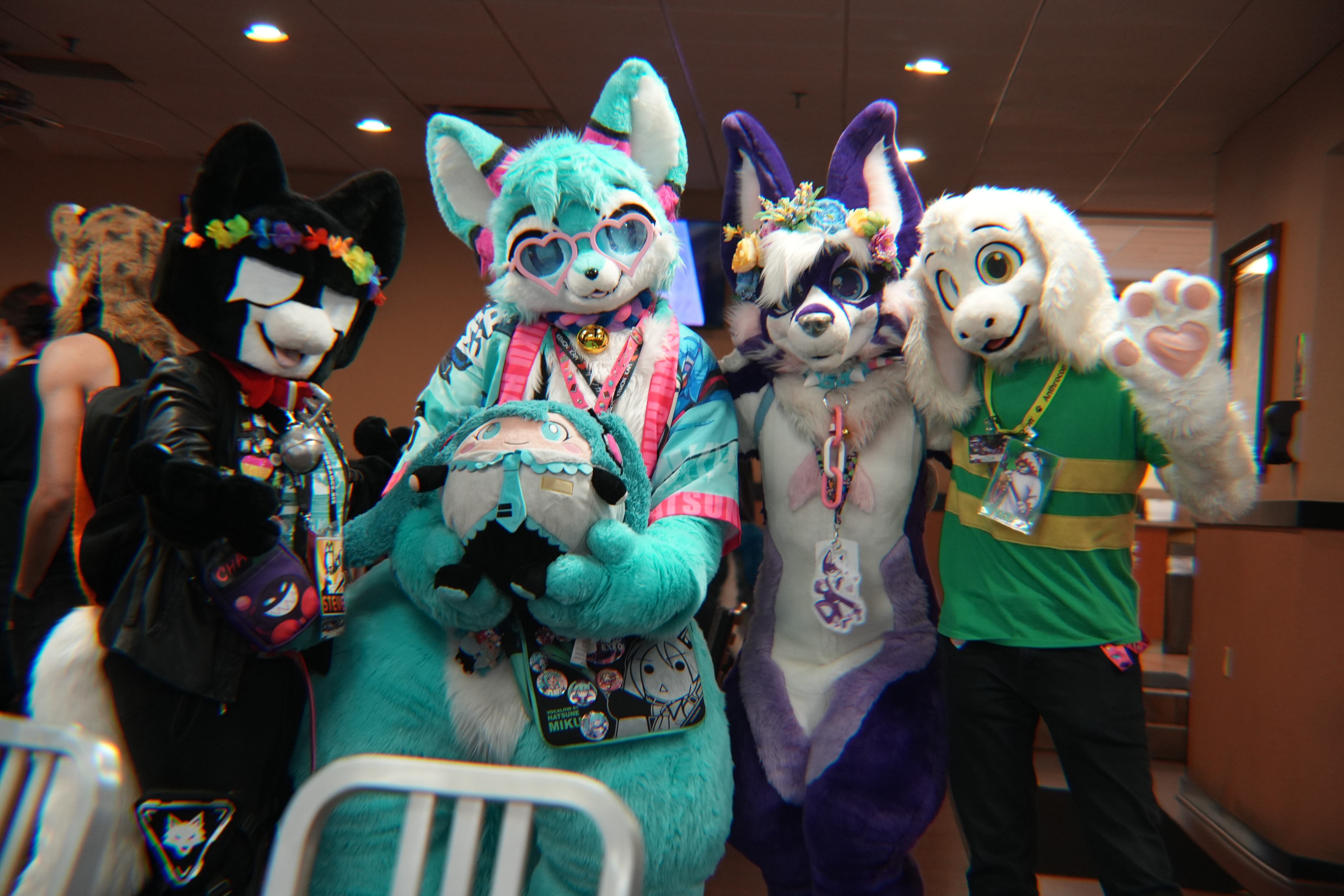 Delaware Furbowl 94 (November 2025)