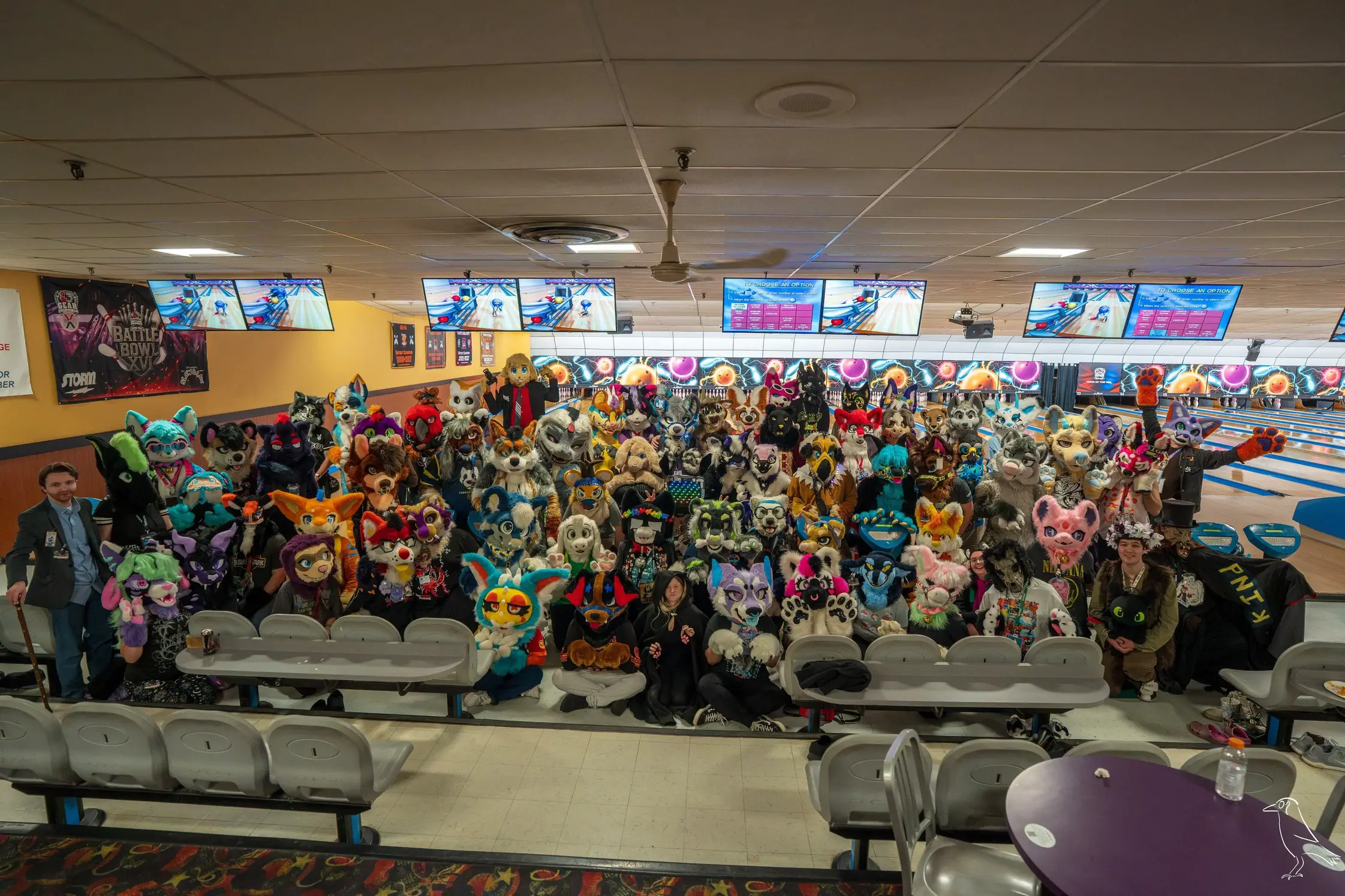 Delaware Furbowl 94 (November 2025)