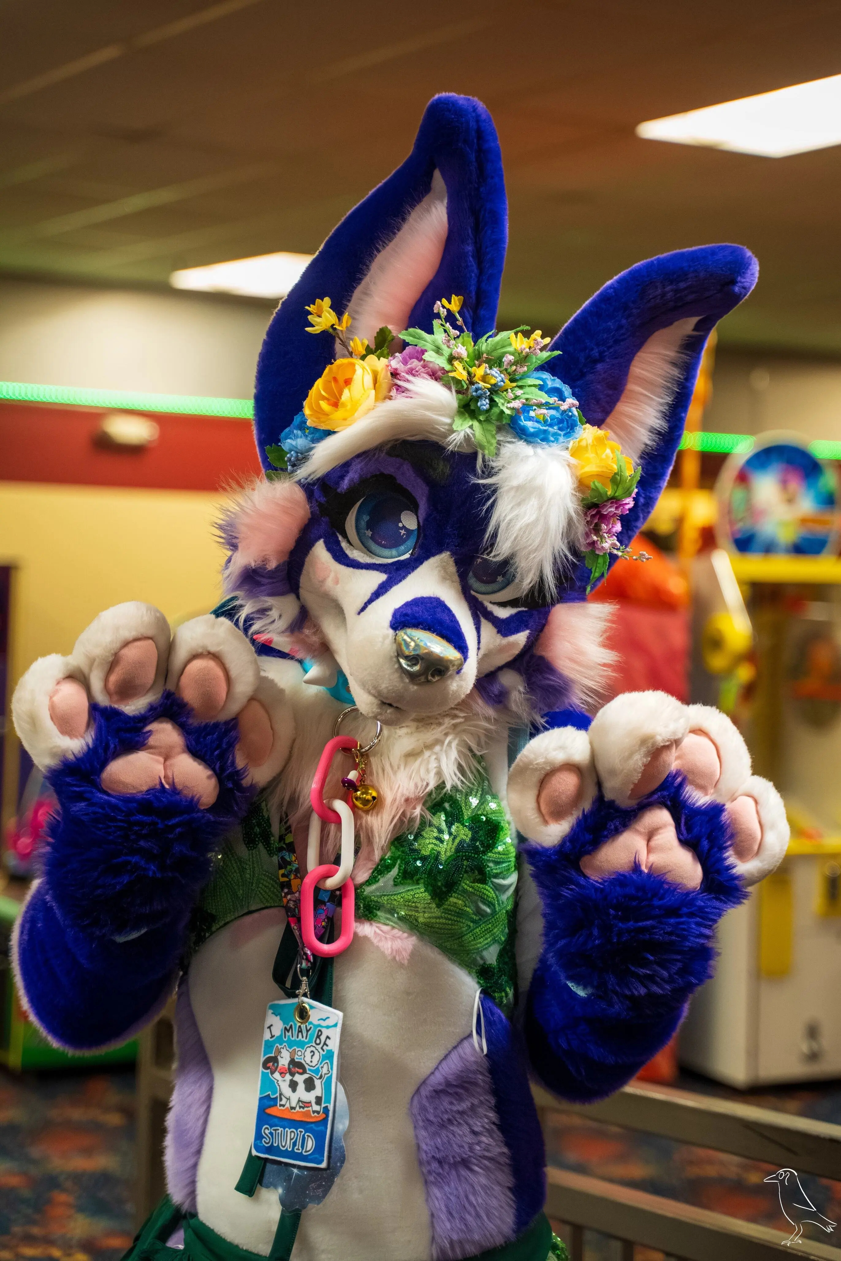 Delaware Furbowl 94 (November 2025)