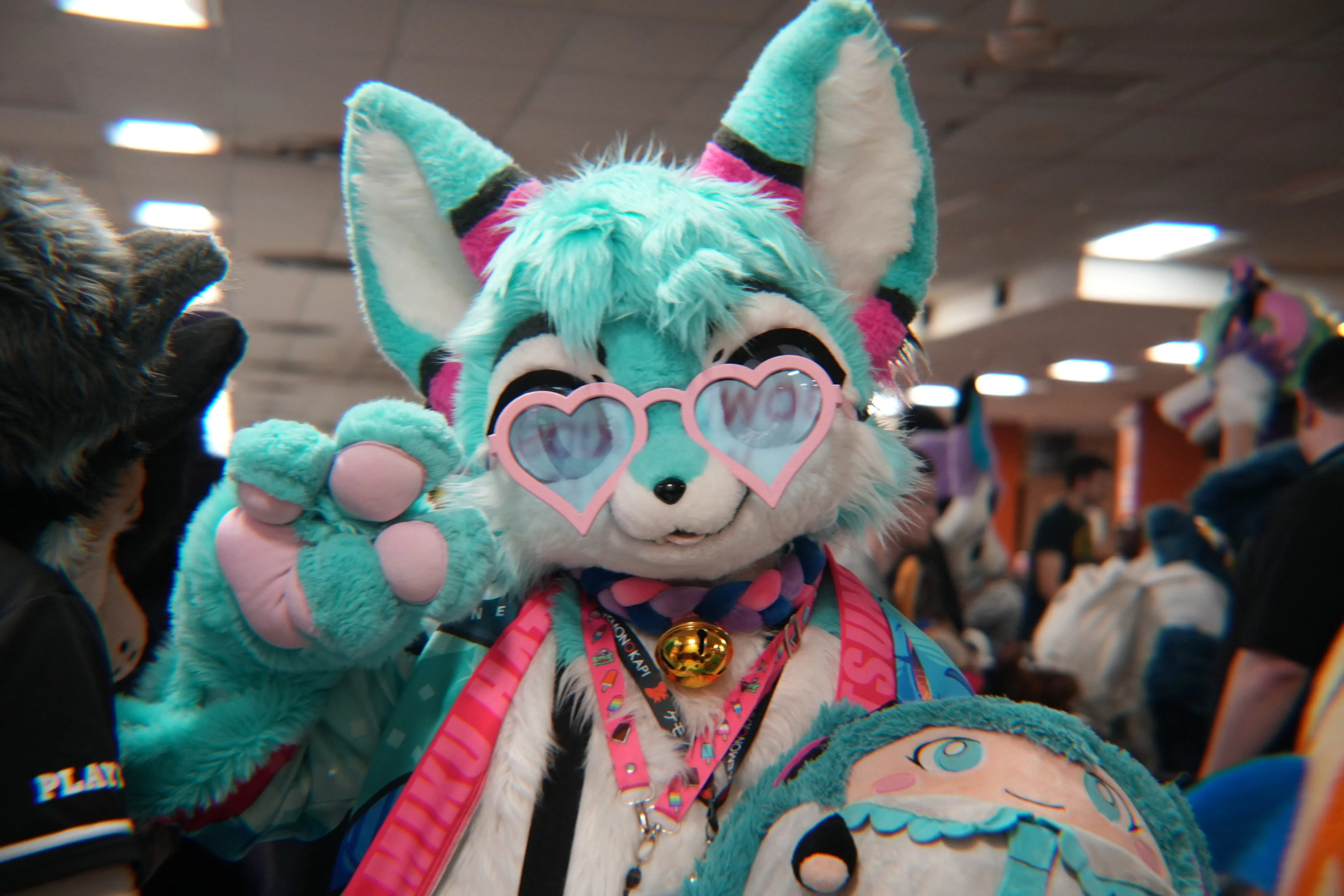 Delaware Furbowl 94 (November 2025)