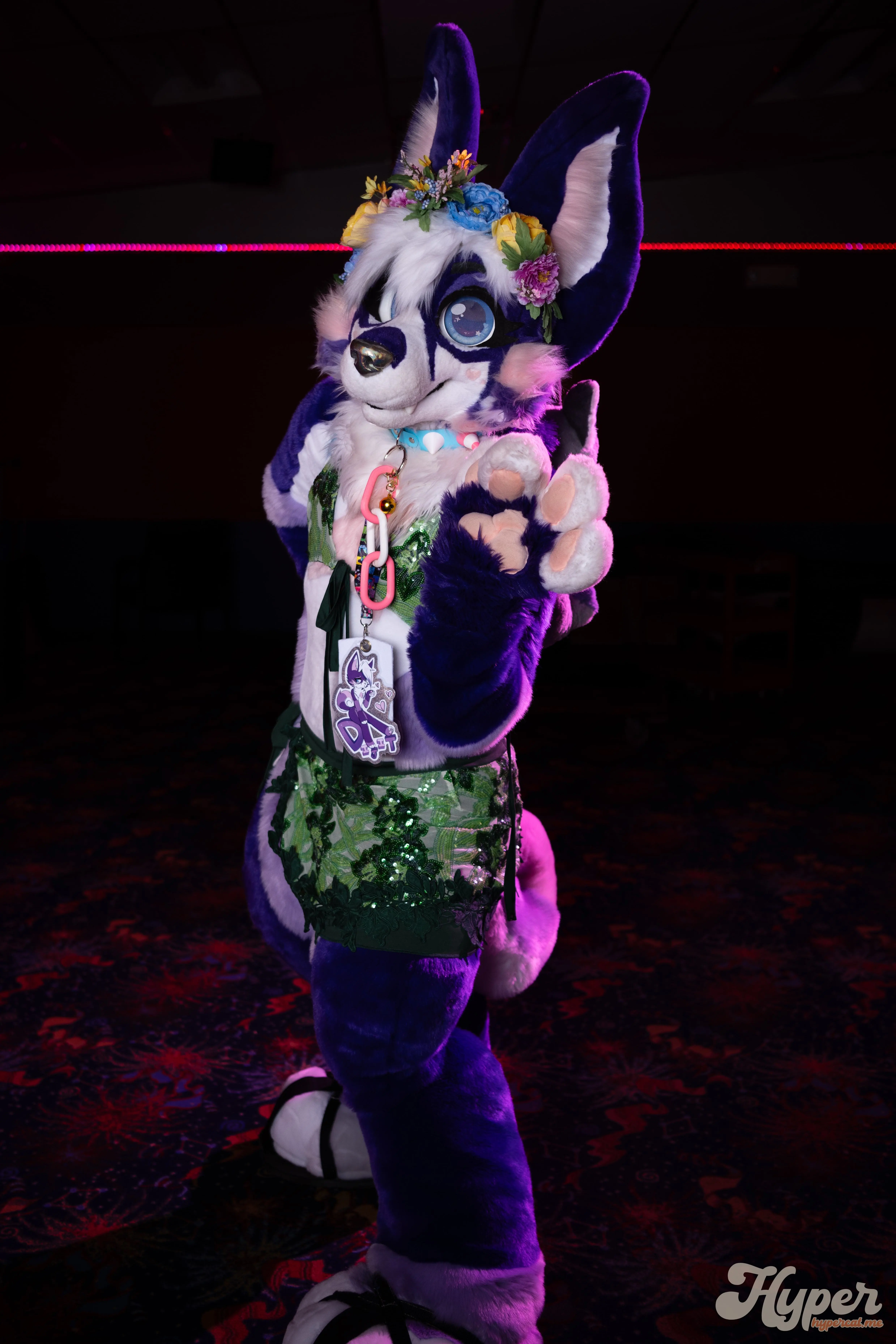 Delaware Furbowl 94 (November 2025)