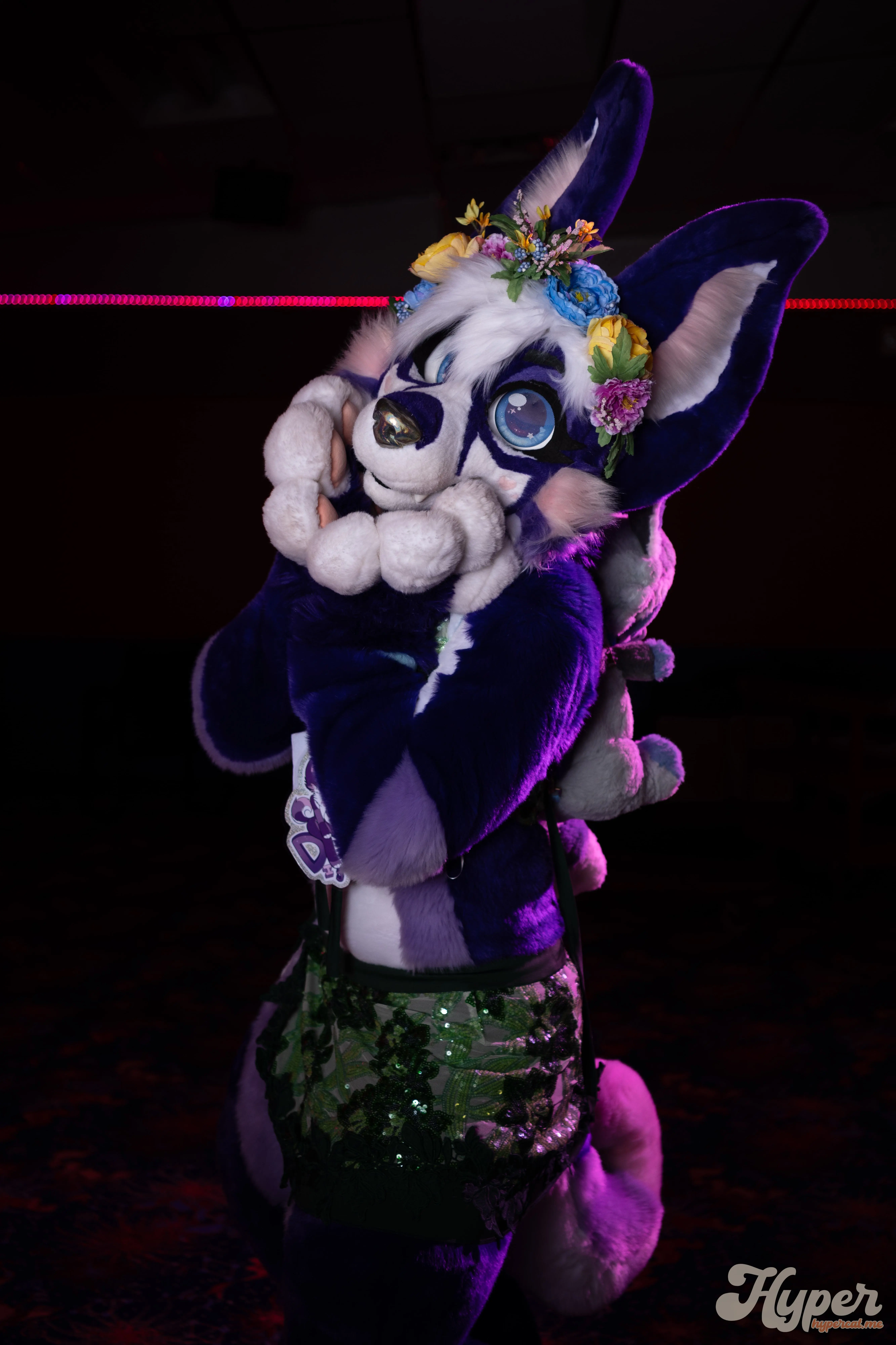 Delaware Furbowl 94 (November 2025)