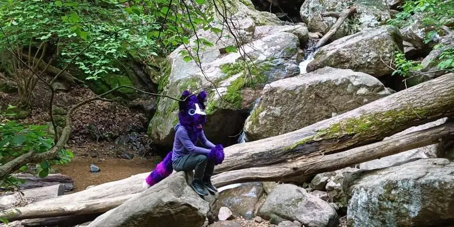 Random Hiking Trip (May 2020)