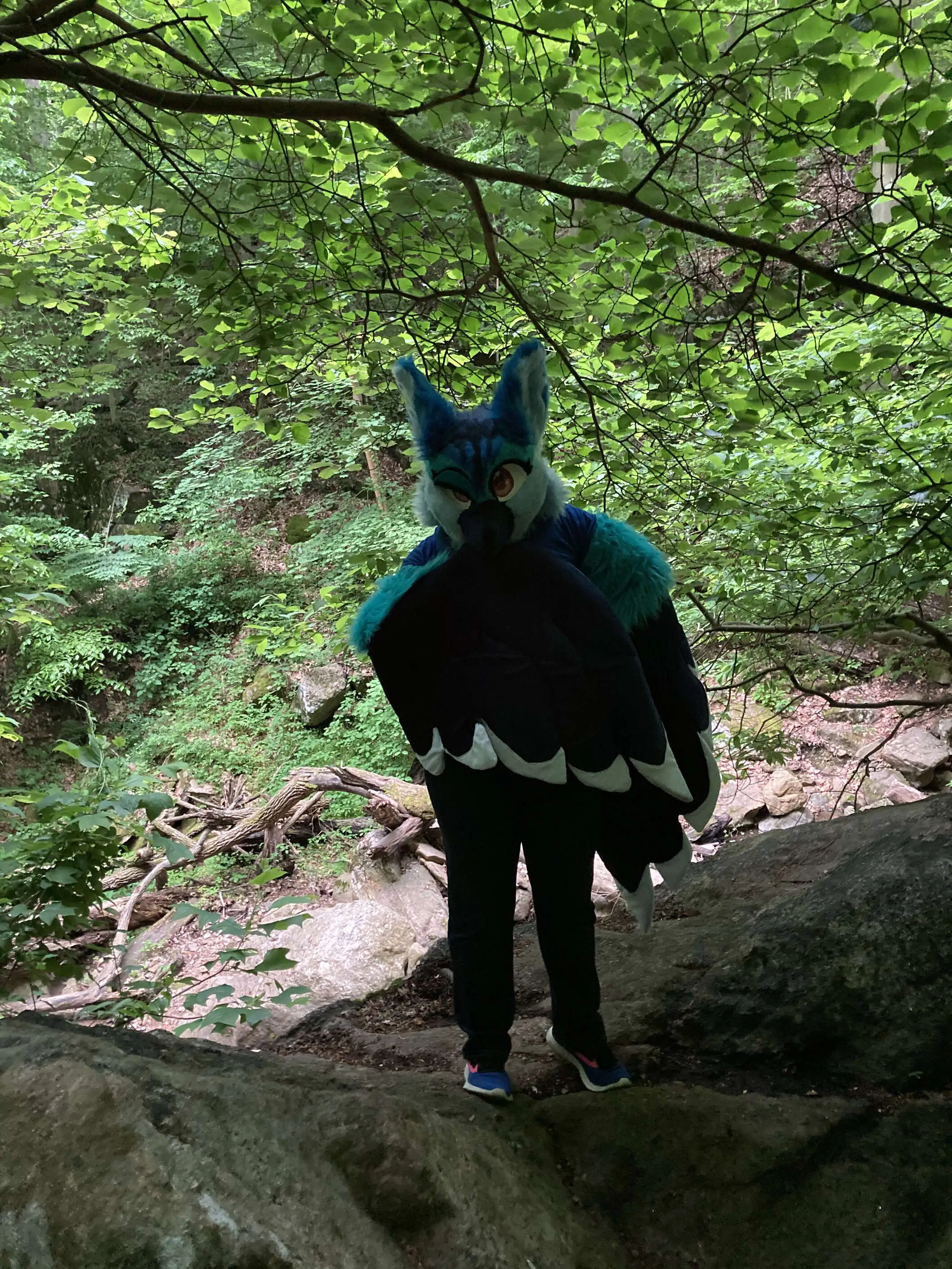 Random Hiking Trip (May 2020)