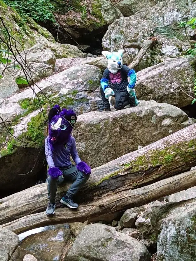 Random Hiking Trip (May 2020)