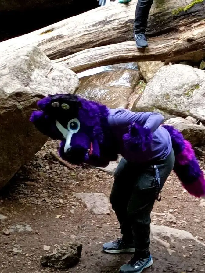 Random Hiking Trip (May 2020)