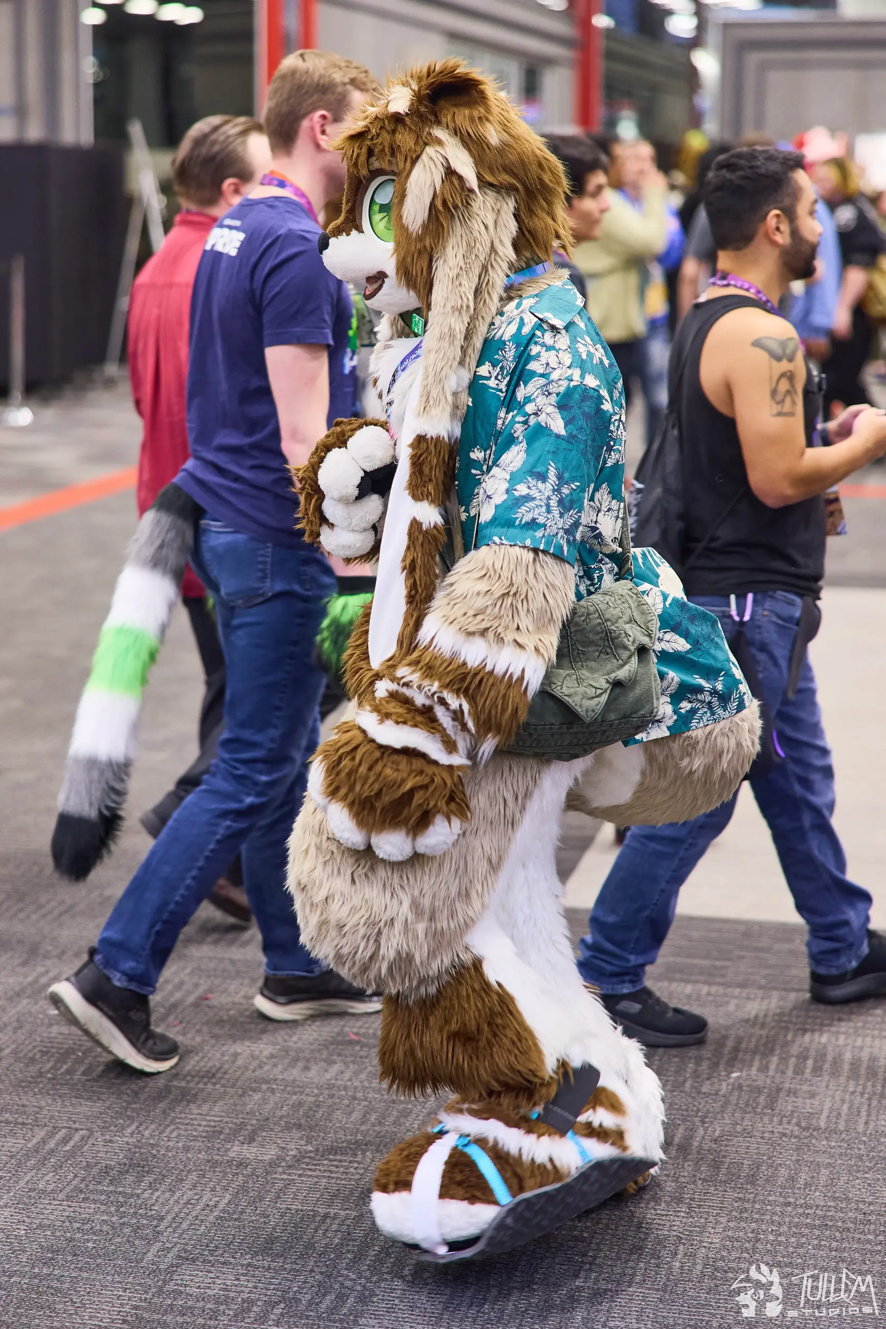 Midwest Furfest 2025