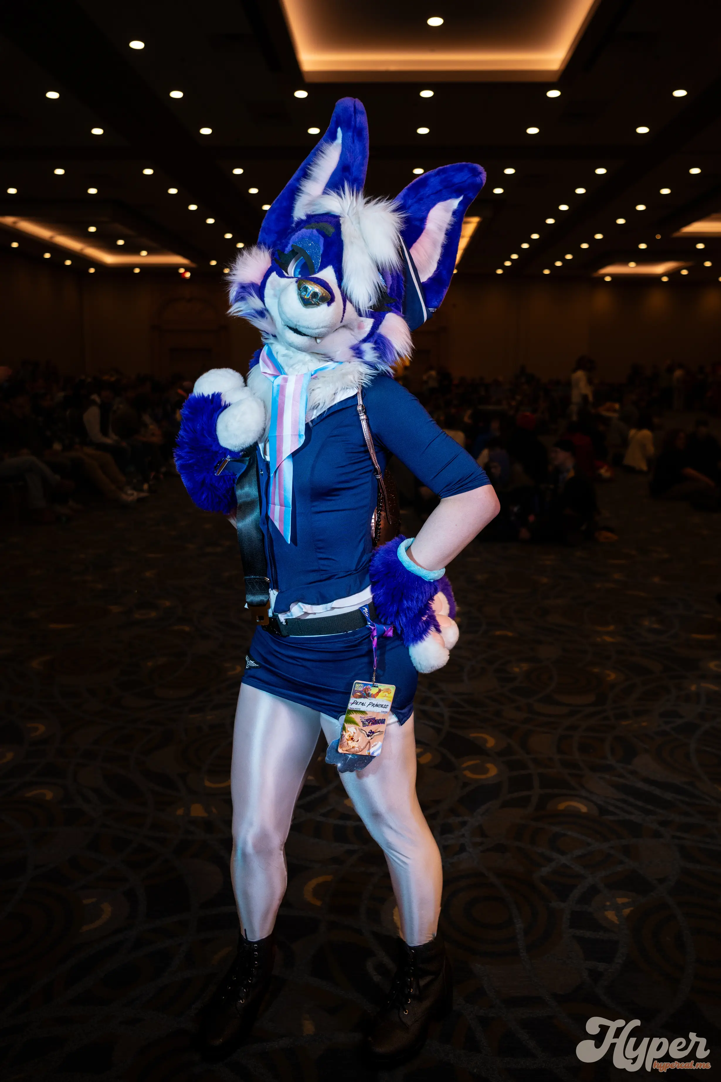 Midwest Furfest 2025