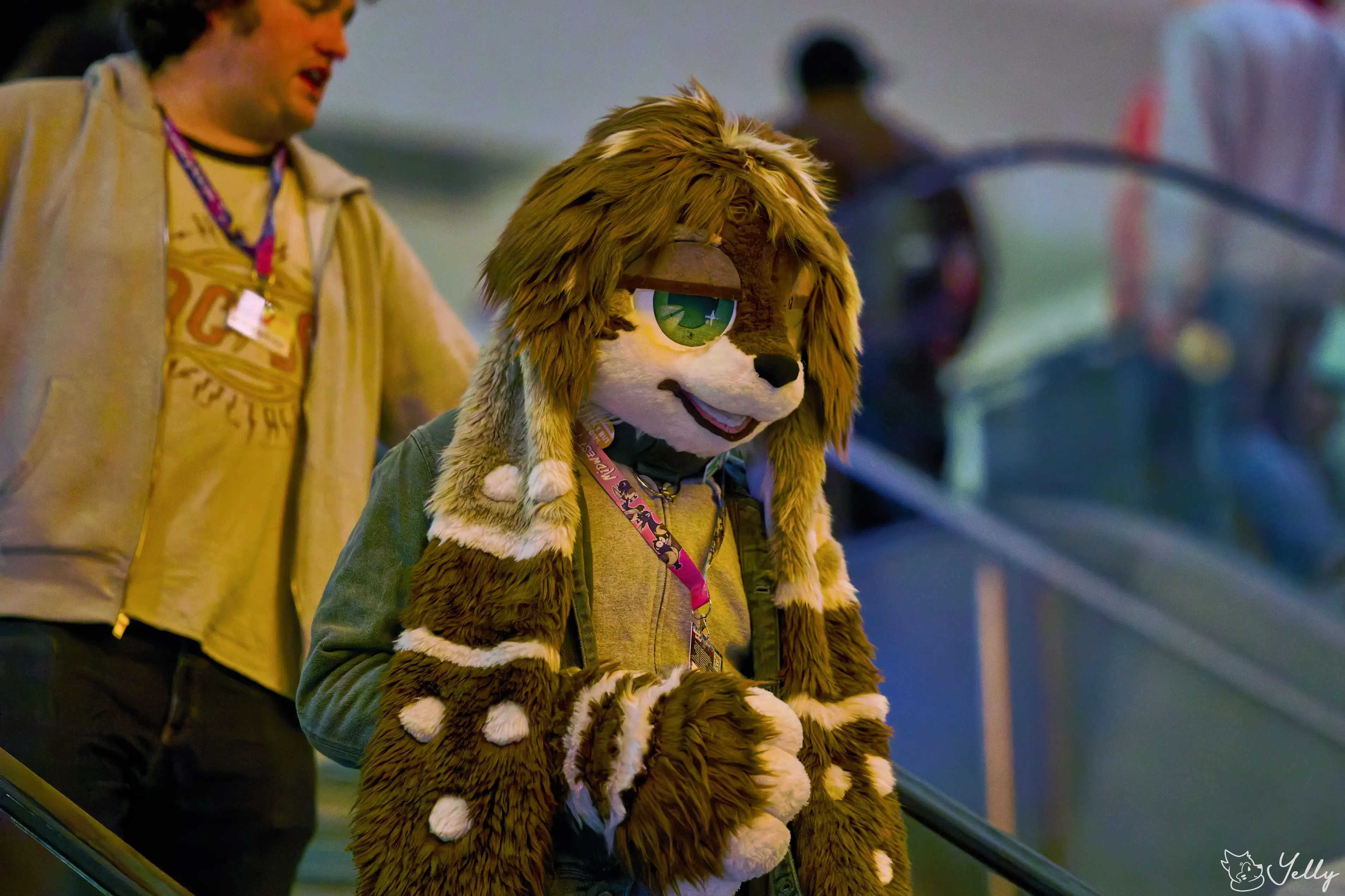 Midwest Furfest 2025