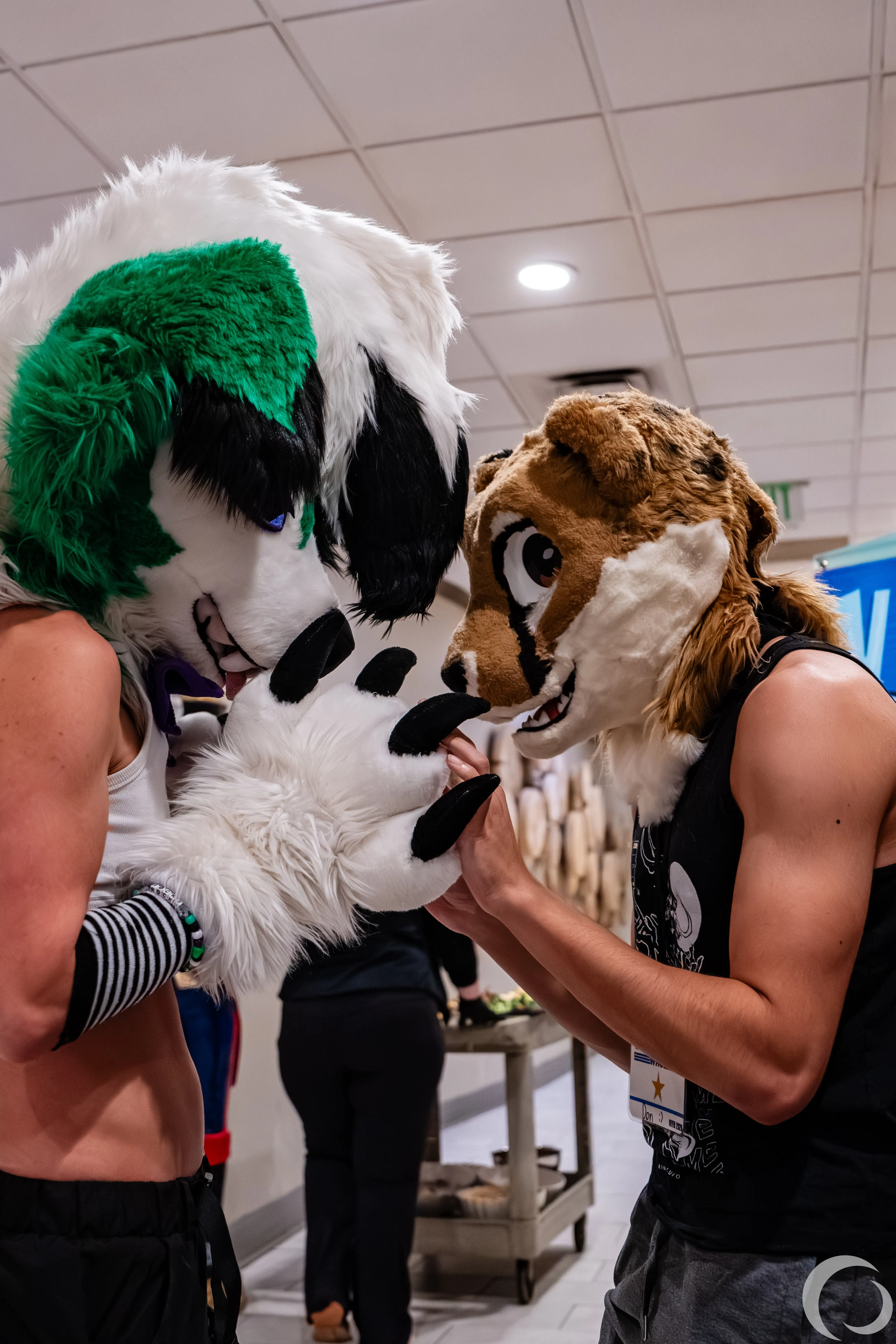 NYFB 2026 (December 2025)