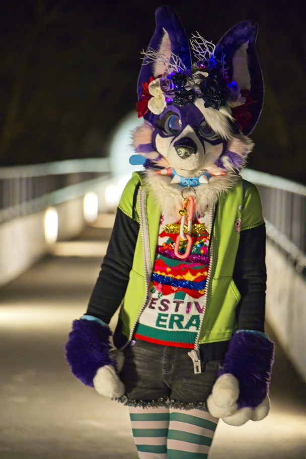 Nighttime PhotoShoot (January 2025)