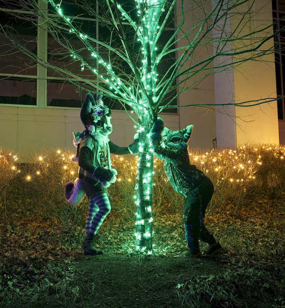 Nighttime PhotoShoot (January 2025)