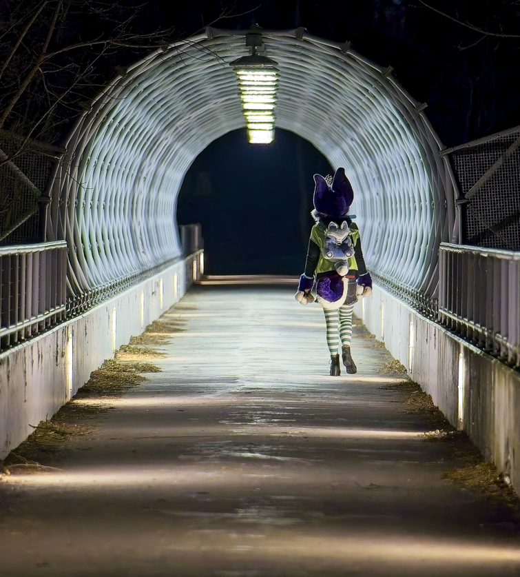 Nighttime PhotoShoot (January 2025)