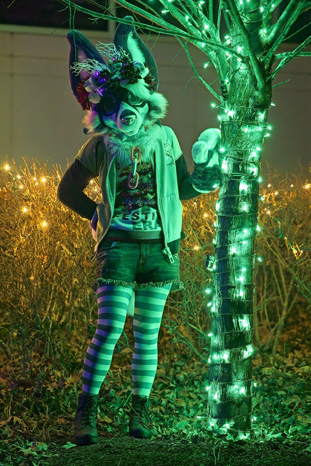 Nighttime PhotoShoot (January 2025)