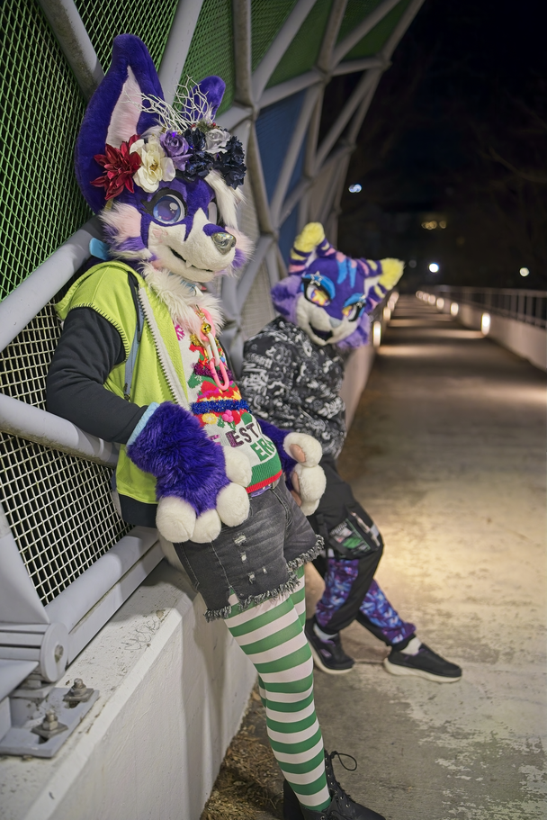 Nighttime PhotoShoot (January 2025)