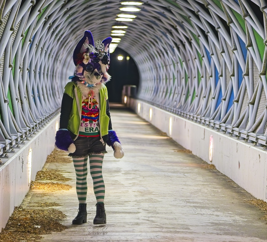 Nighttime PhotoShoot (January 2025)