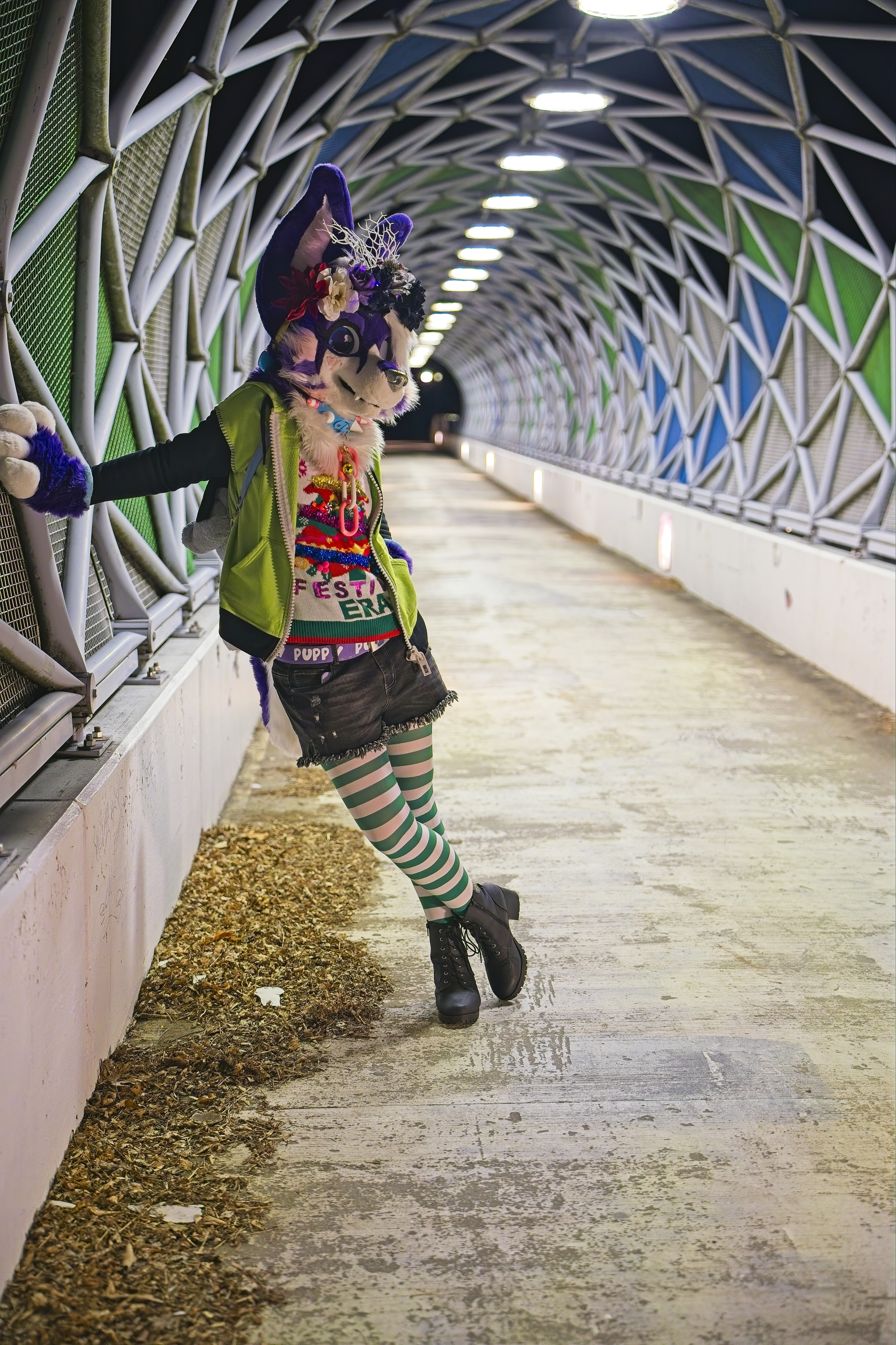 Nighttime PhotoShoot (January 2025)