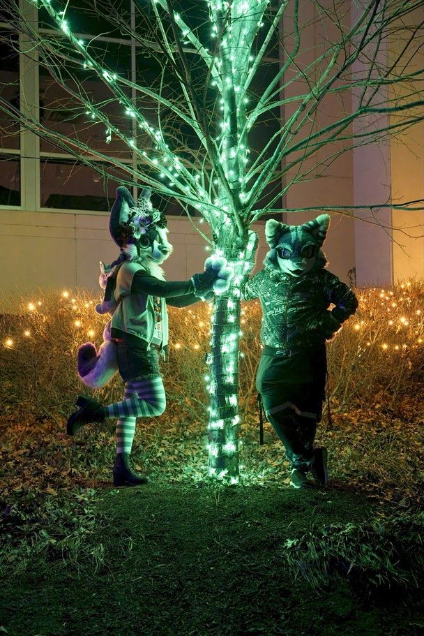 Nighttime PhotoShoot (January 2025)