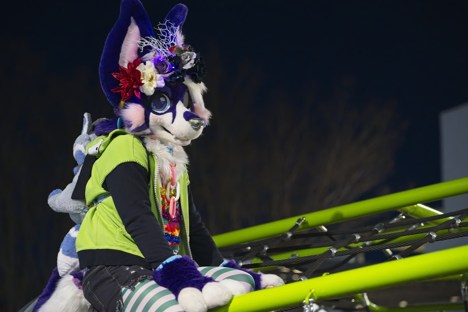 Nighttime PhotoShoot (January 2025)