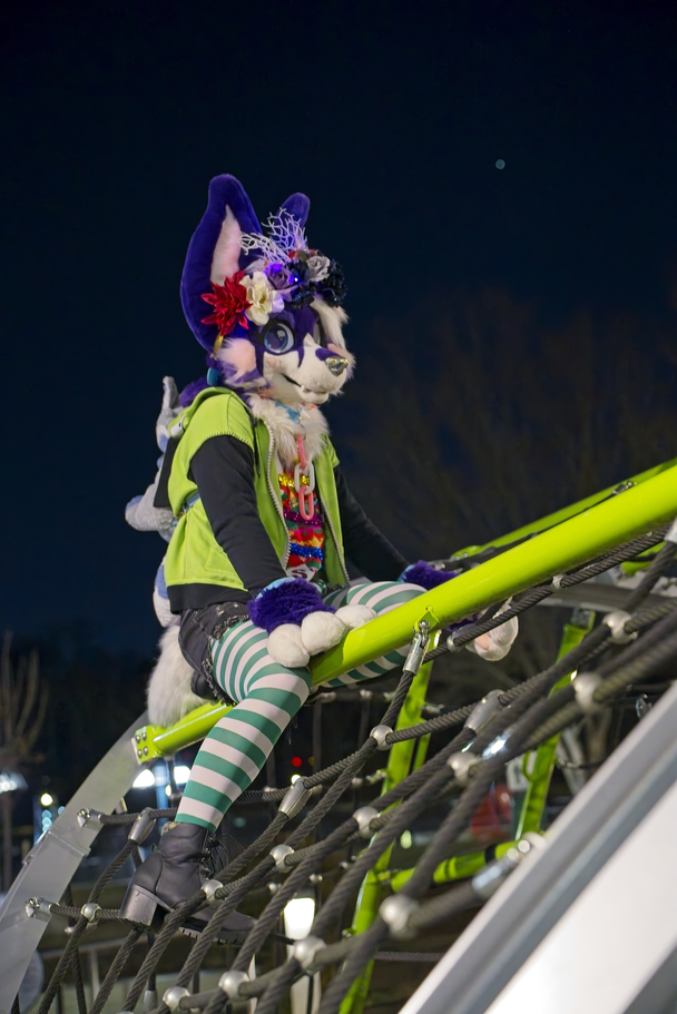Nighttime PhotoShoot (January 2025)