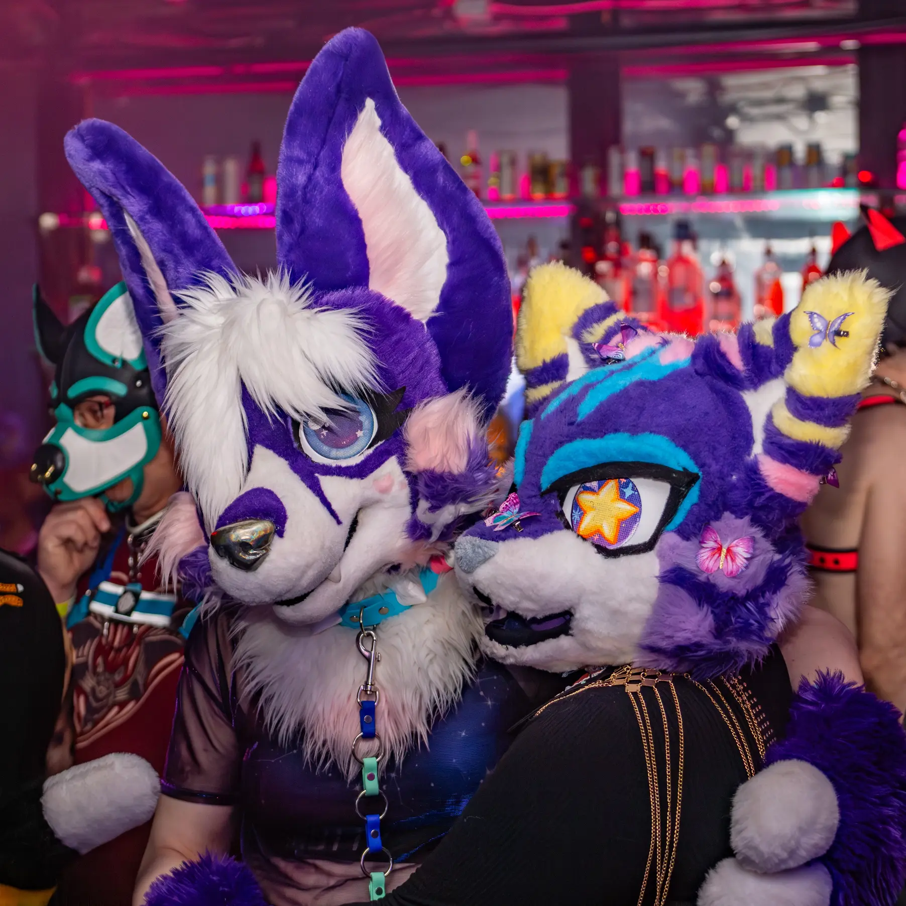 Up-Roar (February 2026)