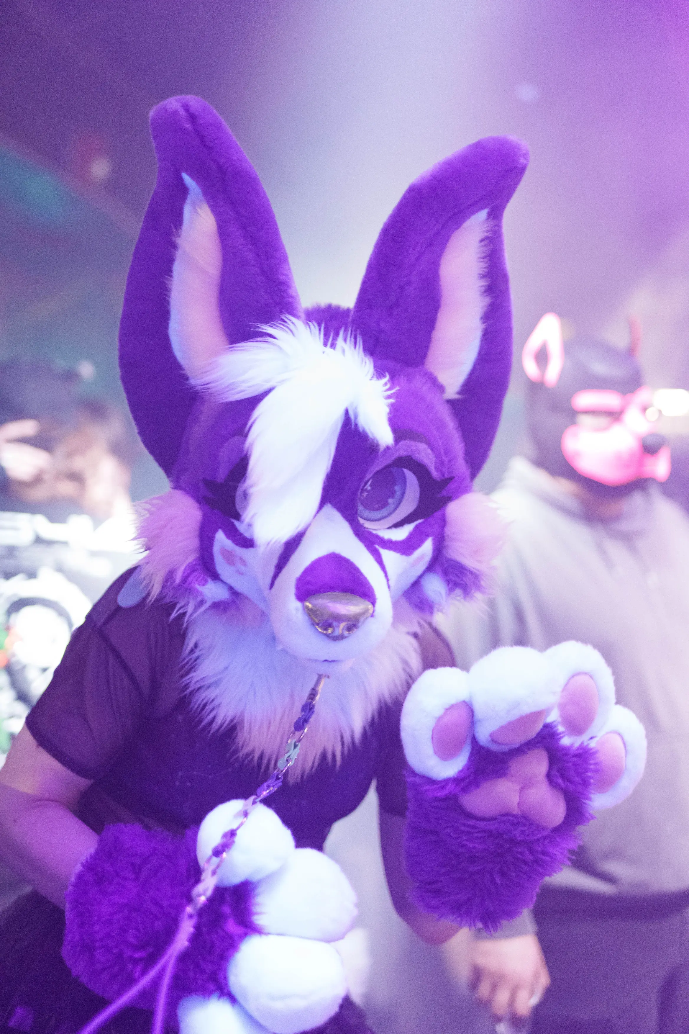 Up-Roar (February 2026)