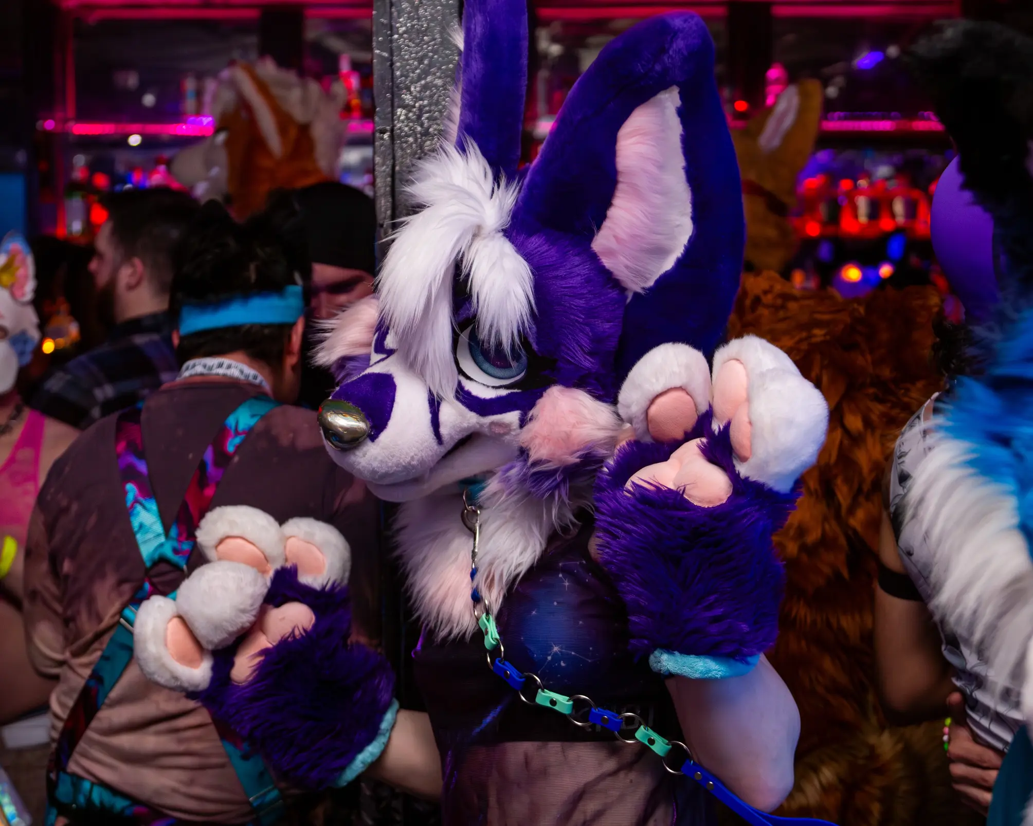 Up-Roar (February 2026)