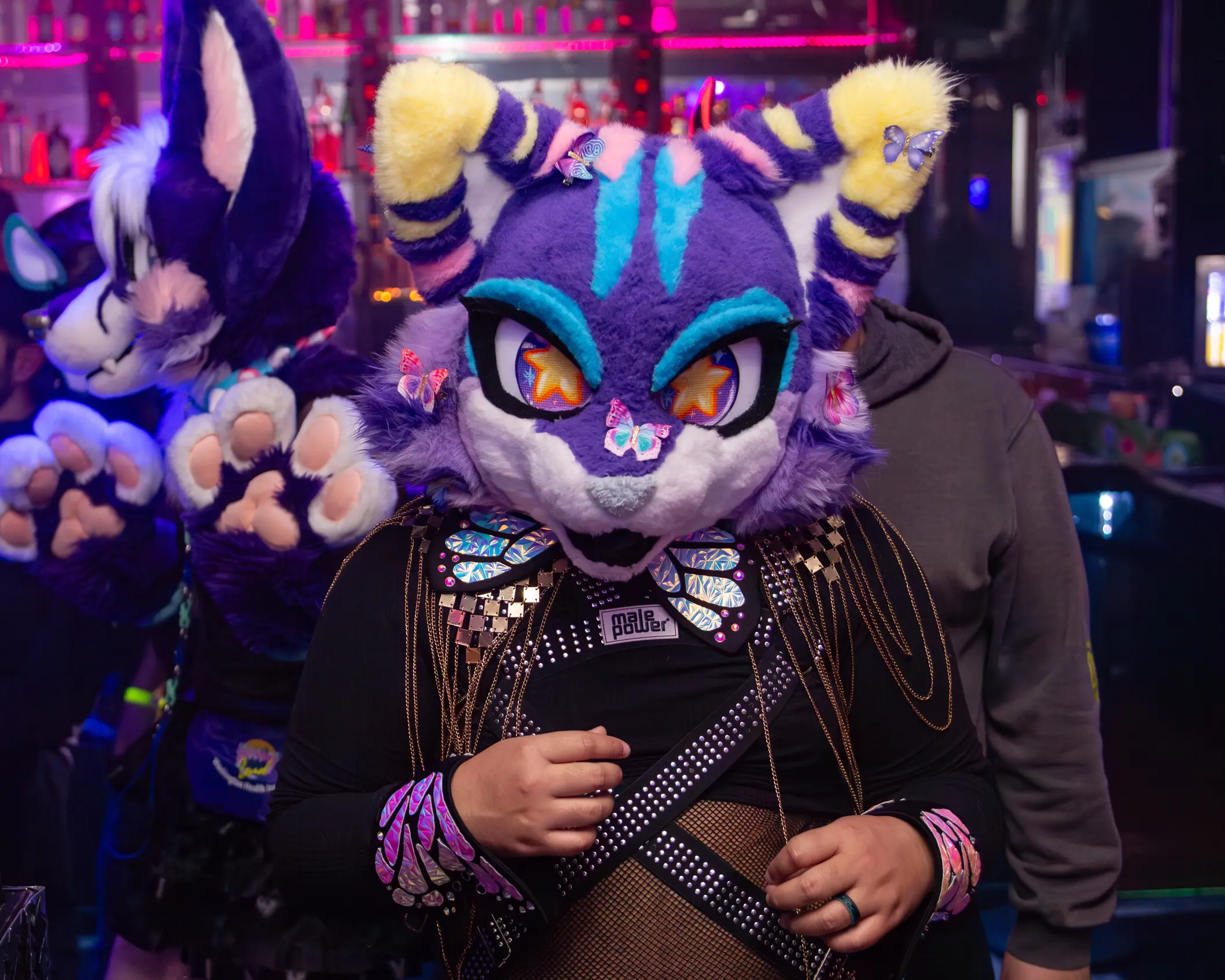 Up-Roar (February 2026)