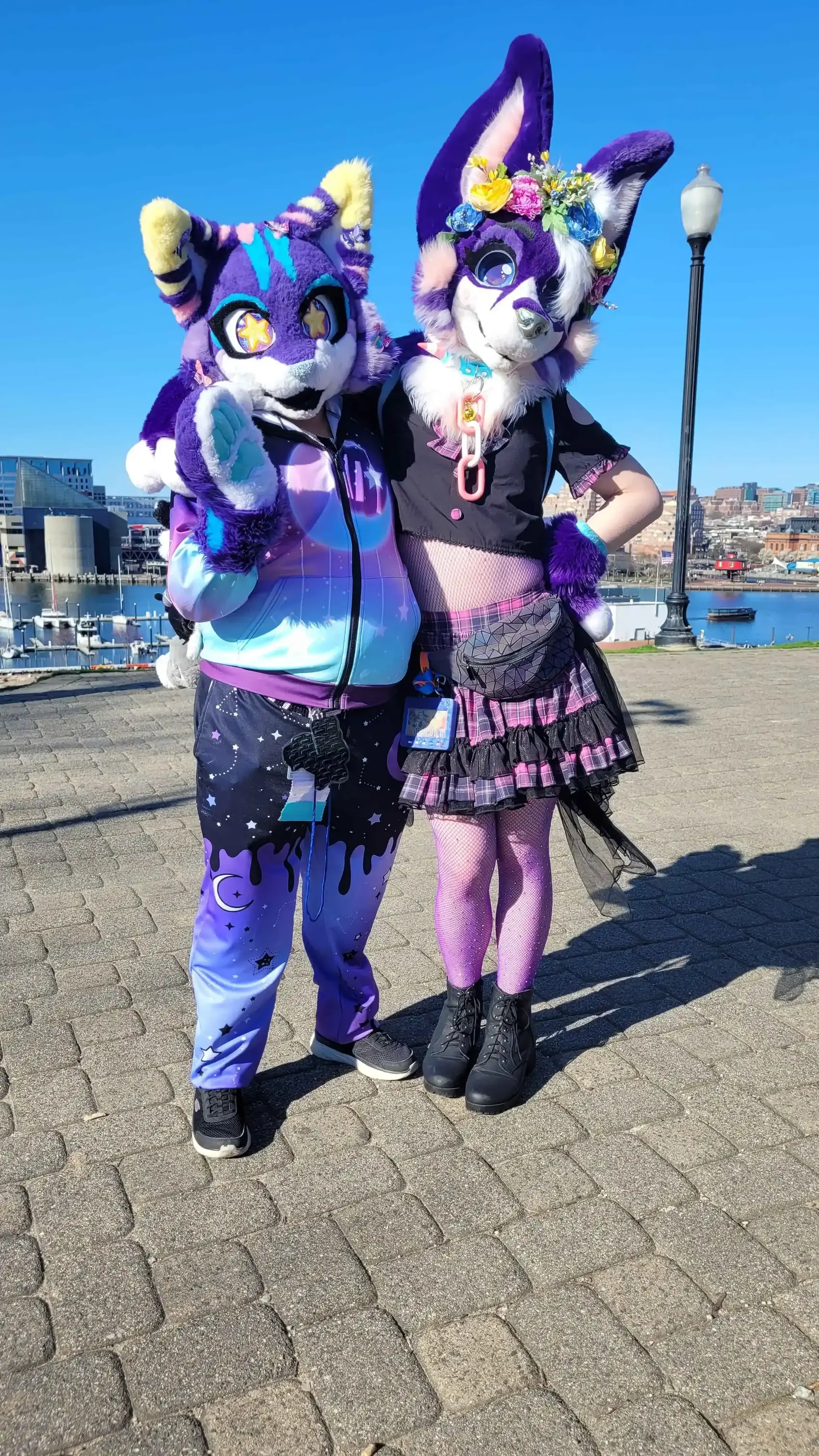 FurTheMore (March 2026)