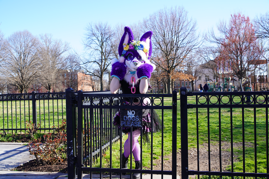 FurTheMore (March 2026)