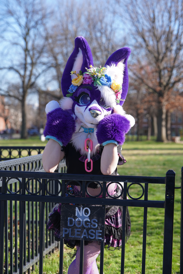 FurTheMore (March 2026)