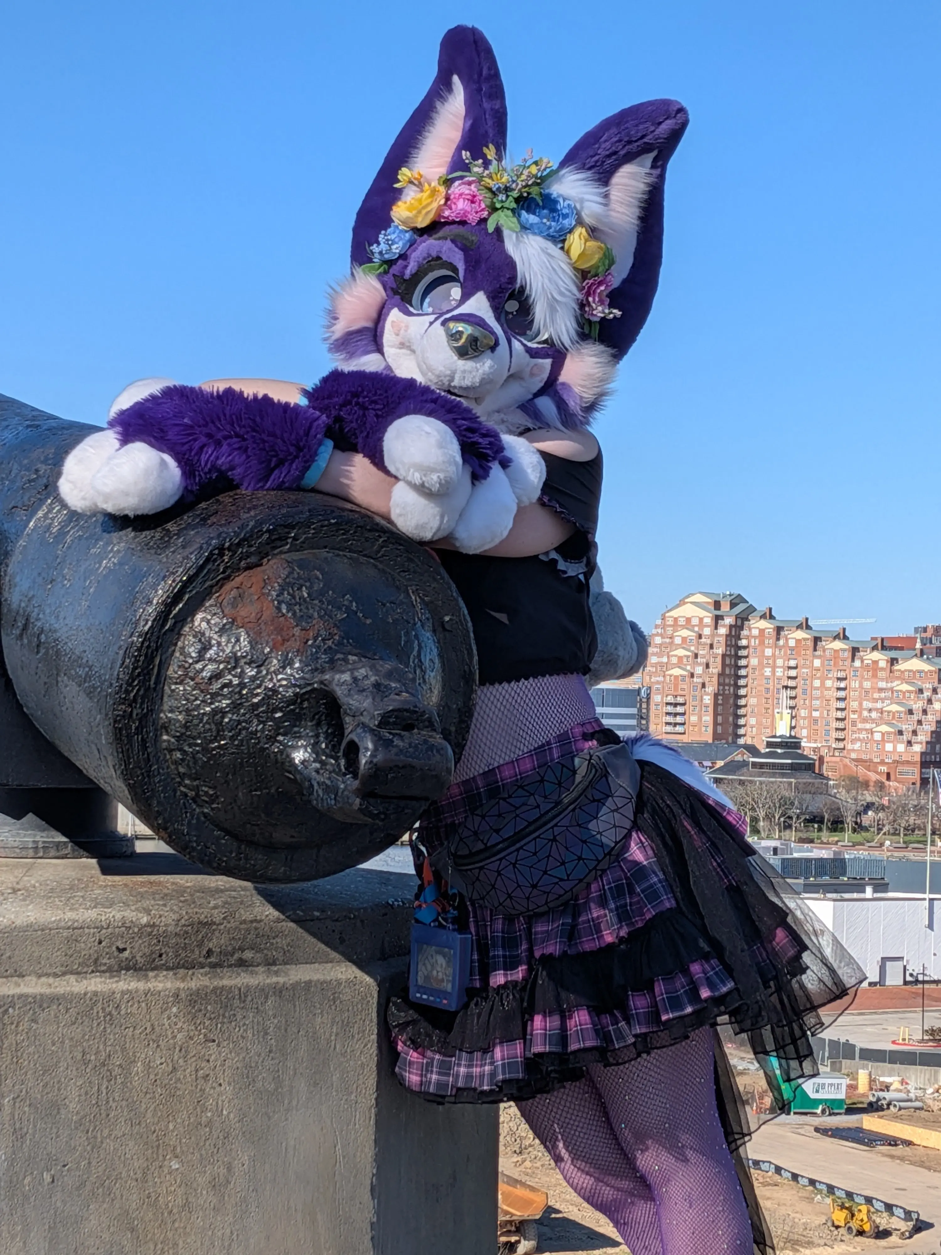 FurTheMore (March 2026)