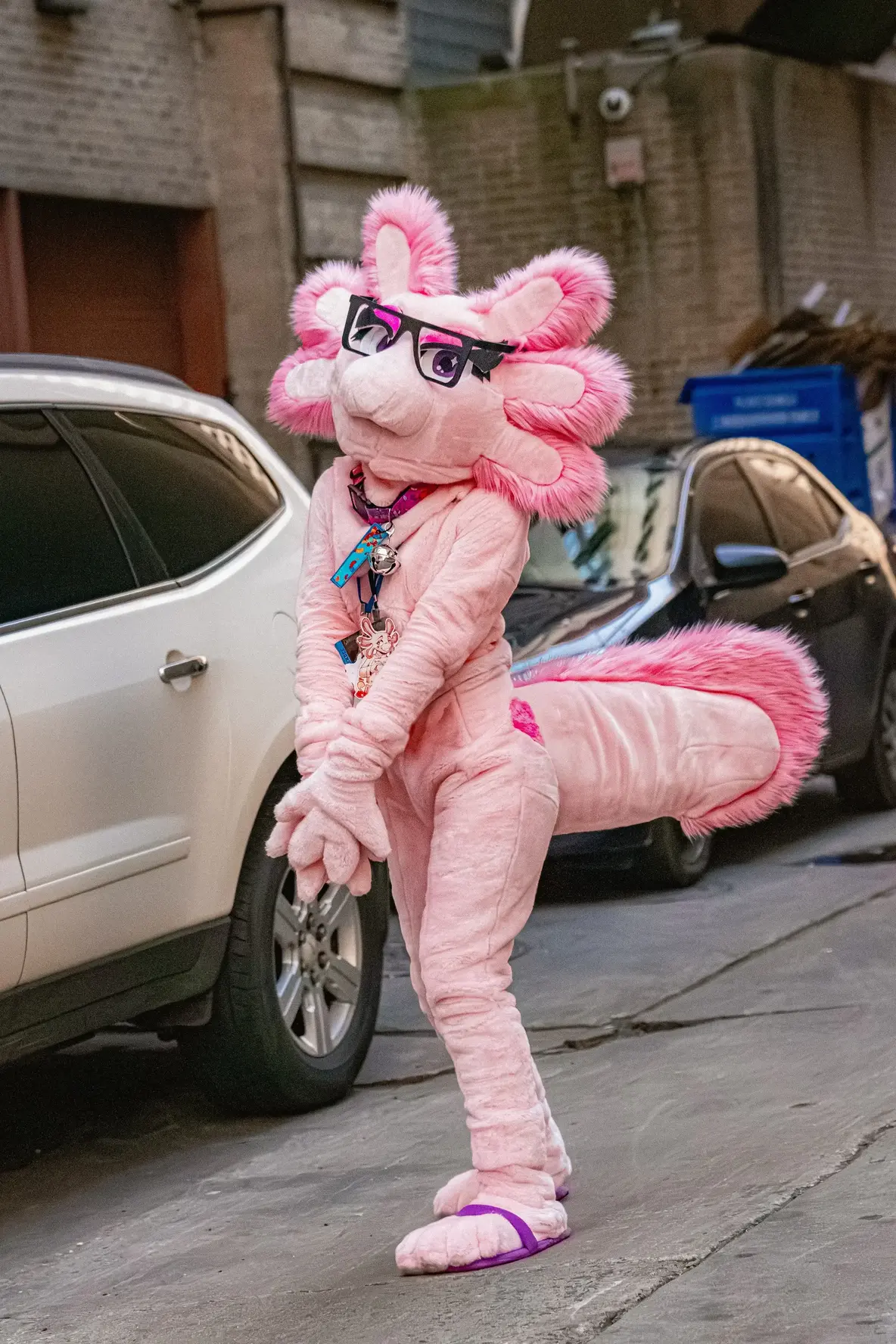 FurTheMore (March 2026)