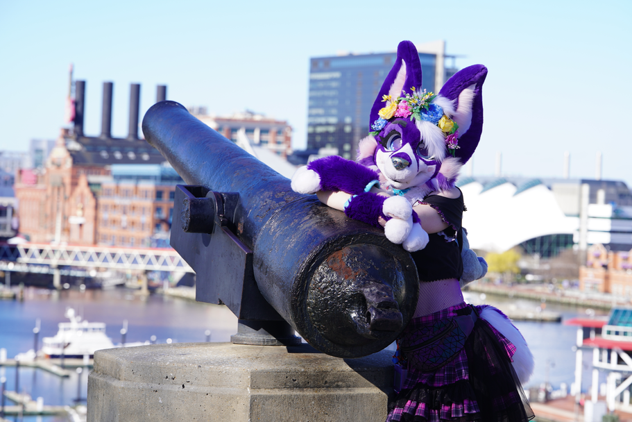 FurTheMore (March 2026)