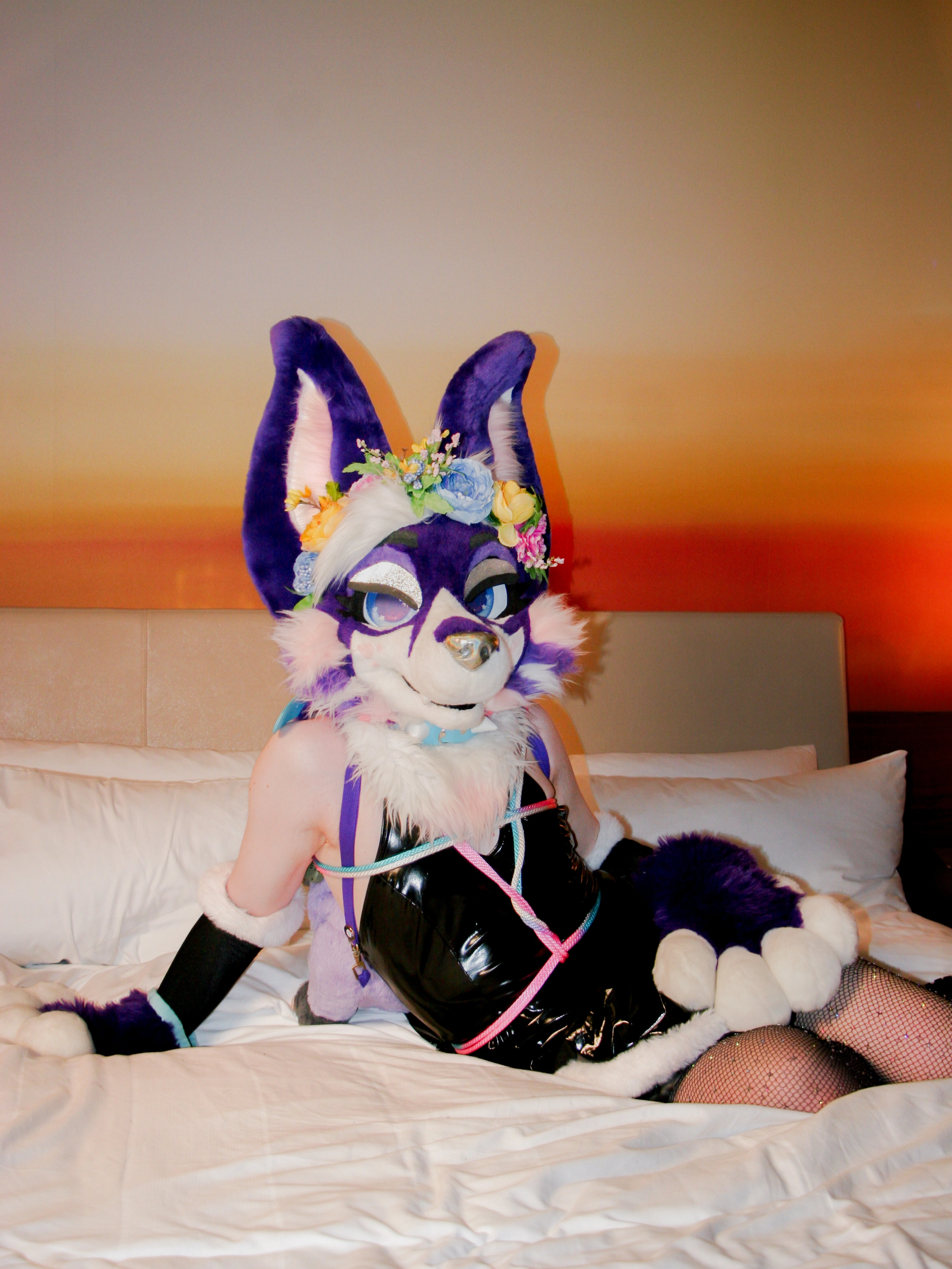 Furry Weekend Atlanta 2026
