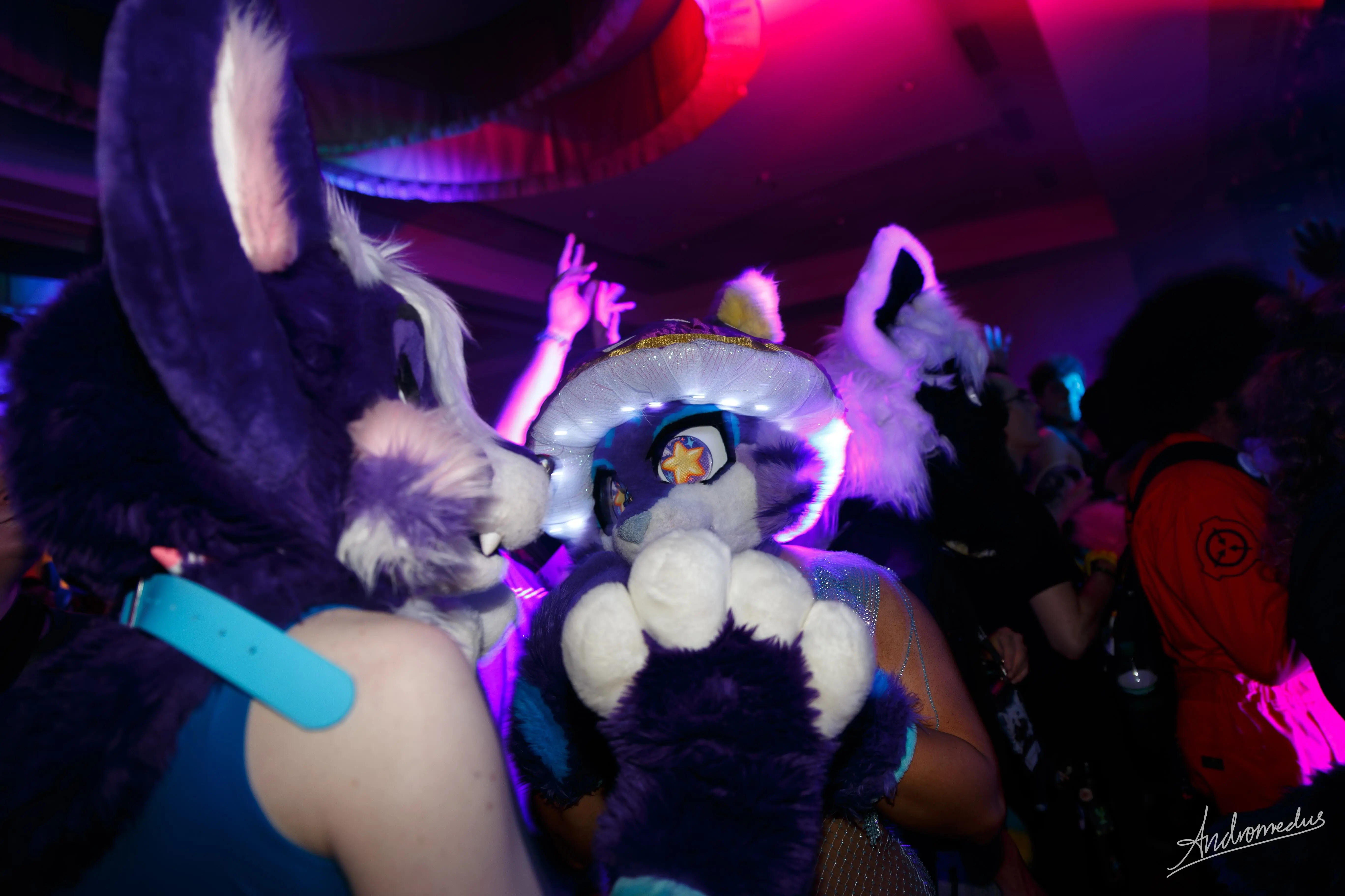 Furry Weekend Atlanta 2026