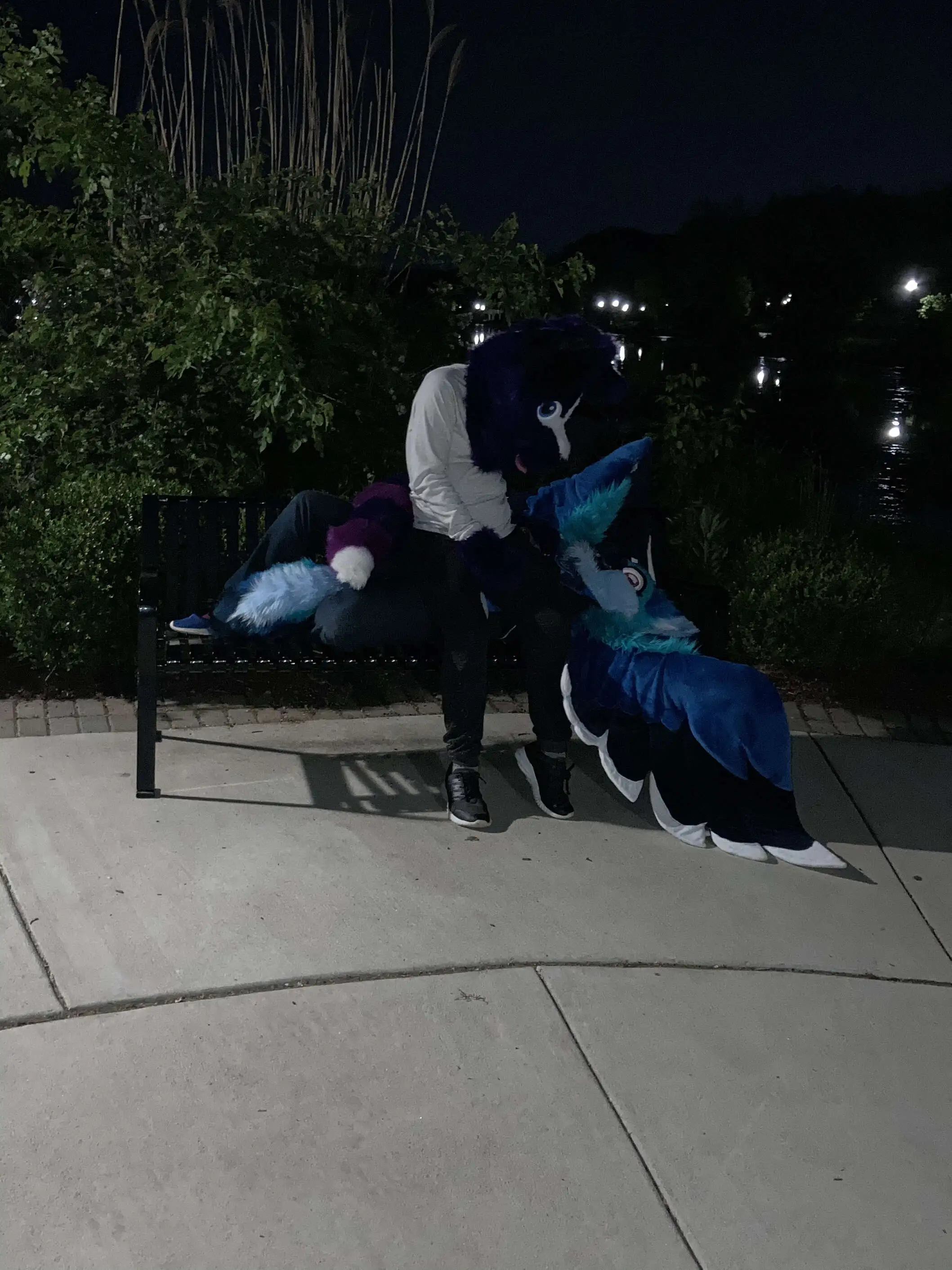 Dancing PhotoShoot (June 2020)