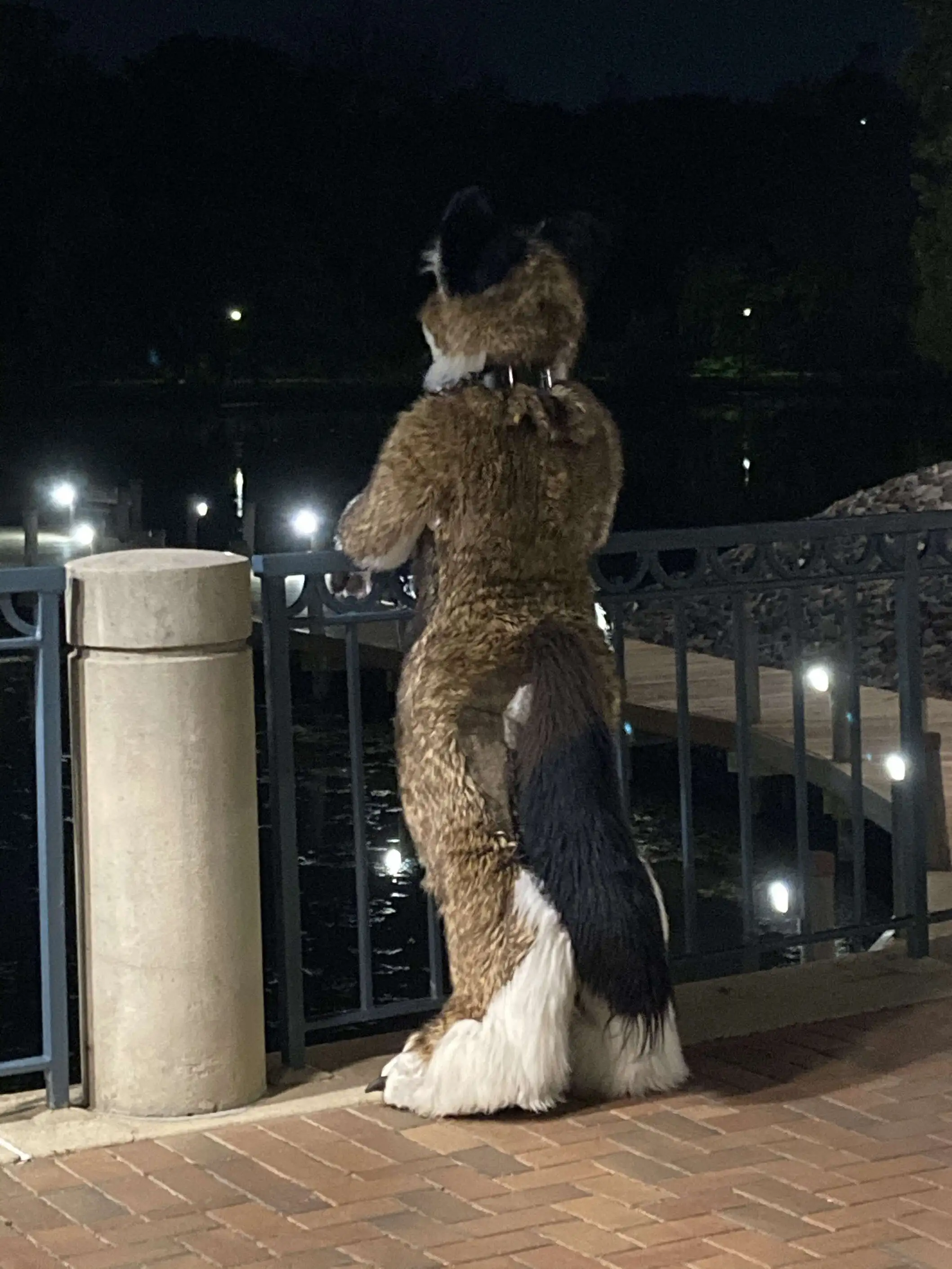 Dancing PhotoShoot (June 2020)