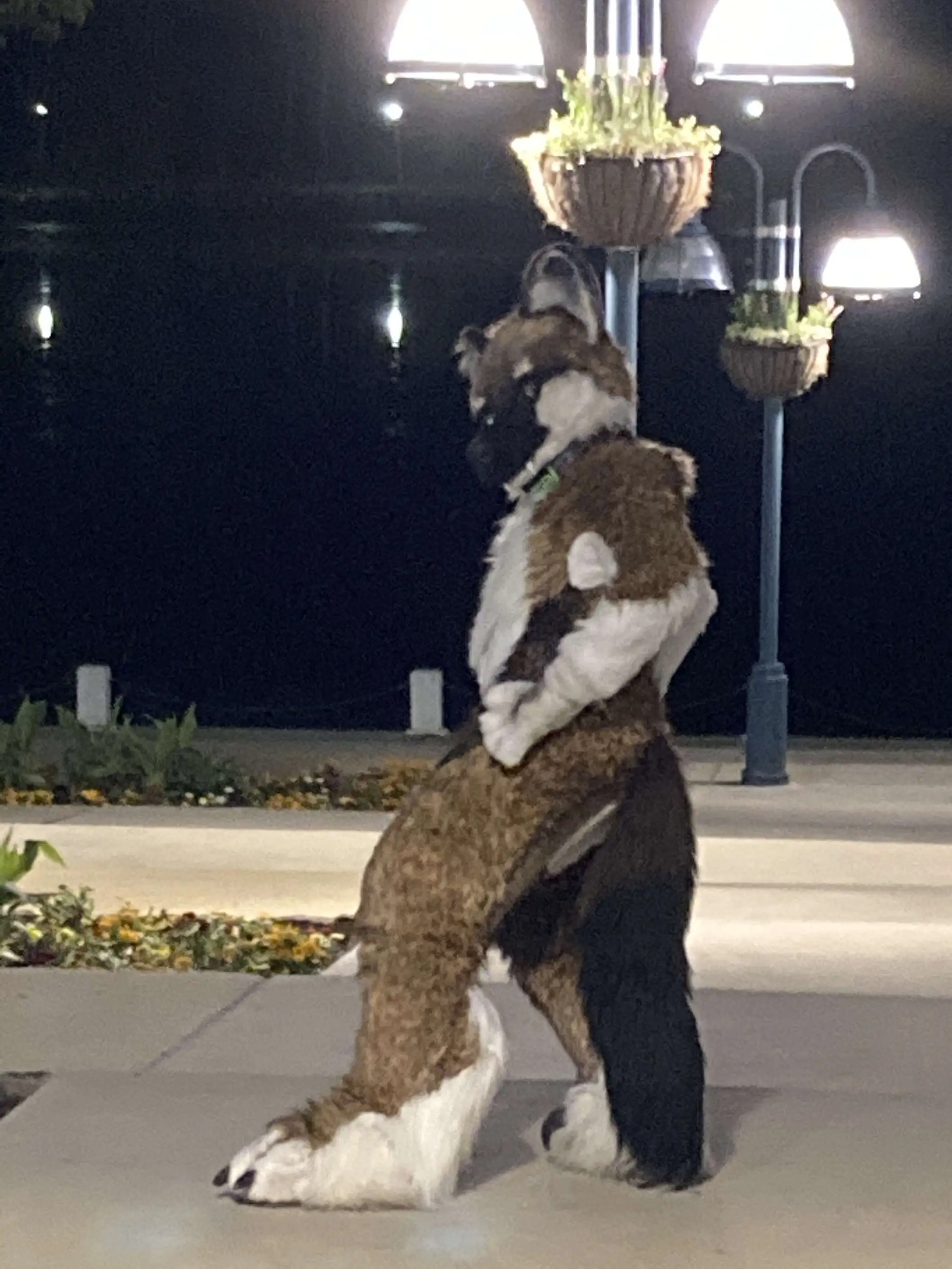 Dancing PhotoShoot (June 2020)