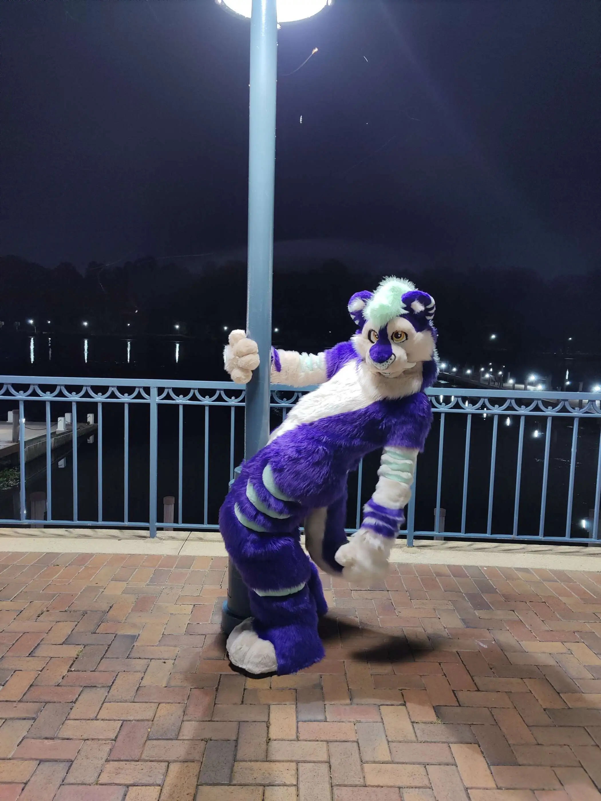 Nighttime PhotoShoot (August 2020)