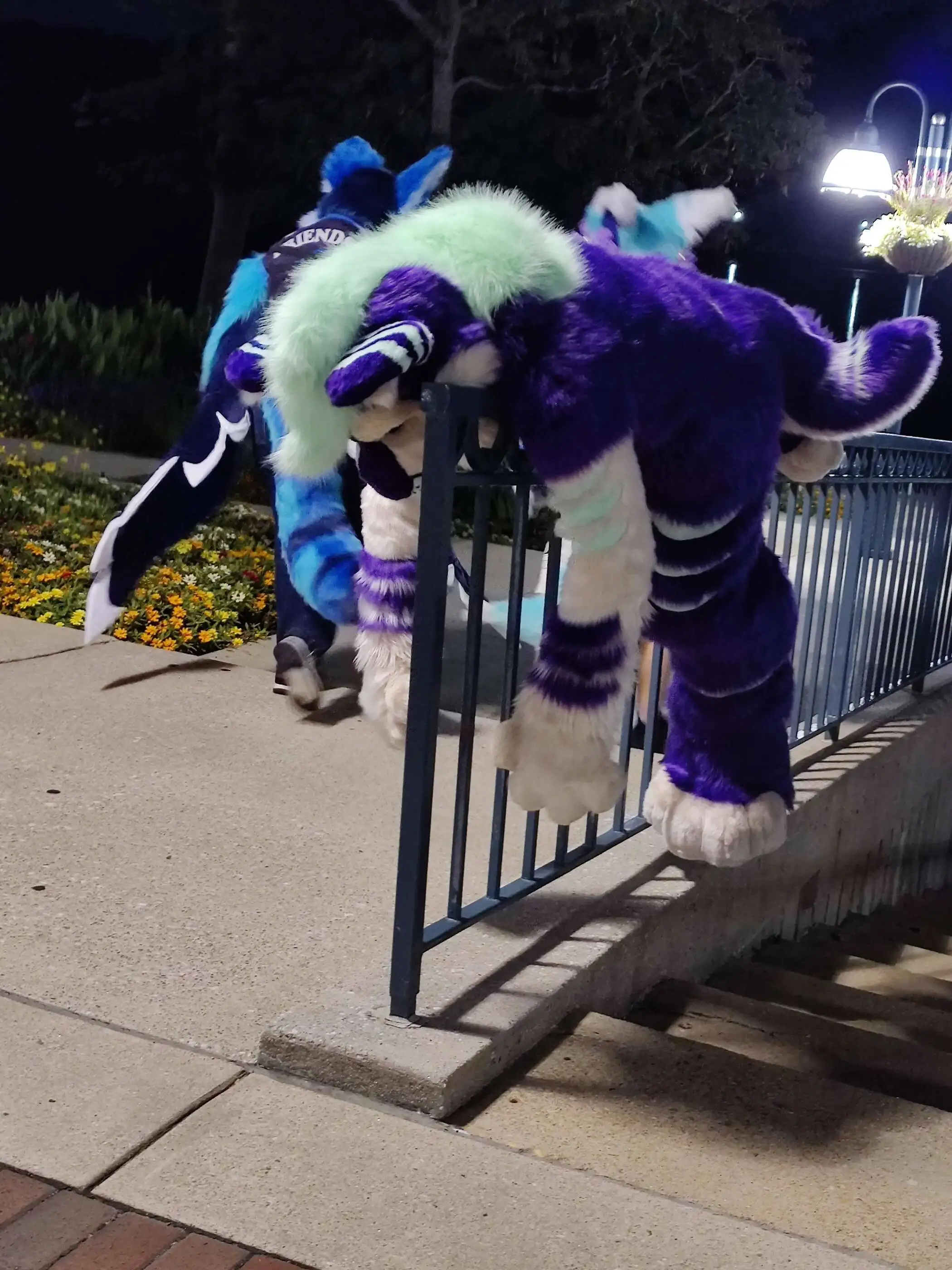 Nighttime PhotoShoot (August 2020)